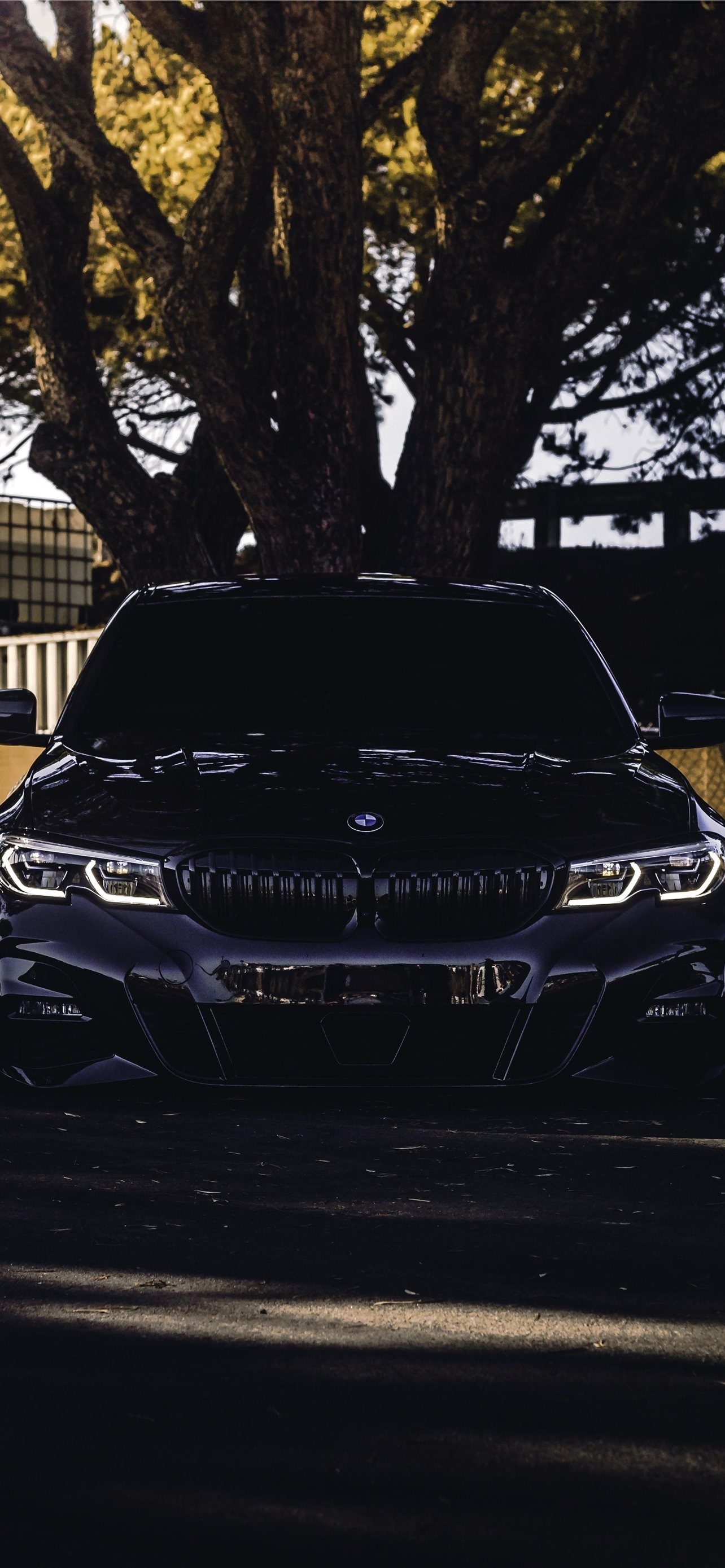 1290x2780 Best Black bmw iPhone HD Wallpaper, Phone