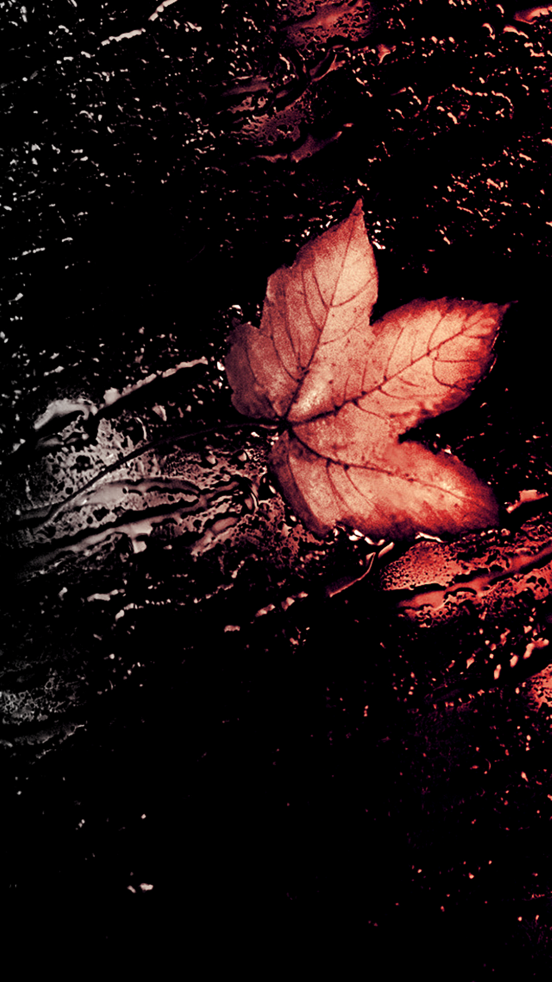 1080x1920 Autumn Leave. Fall wallpaper, iPhone 6 wallpaper, Fall wallpaper tumblr, Phone