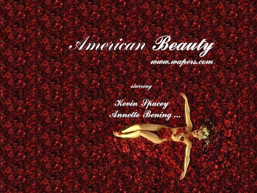 1030x770 American Beauty. American Beauty 232 8 - American Beauty, Desktop