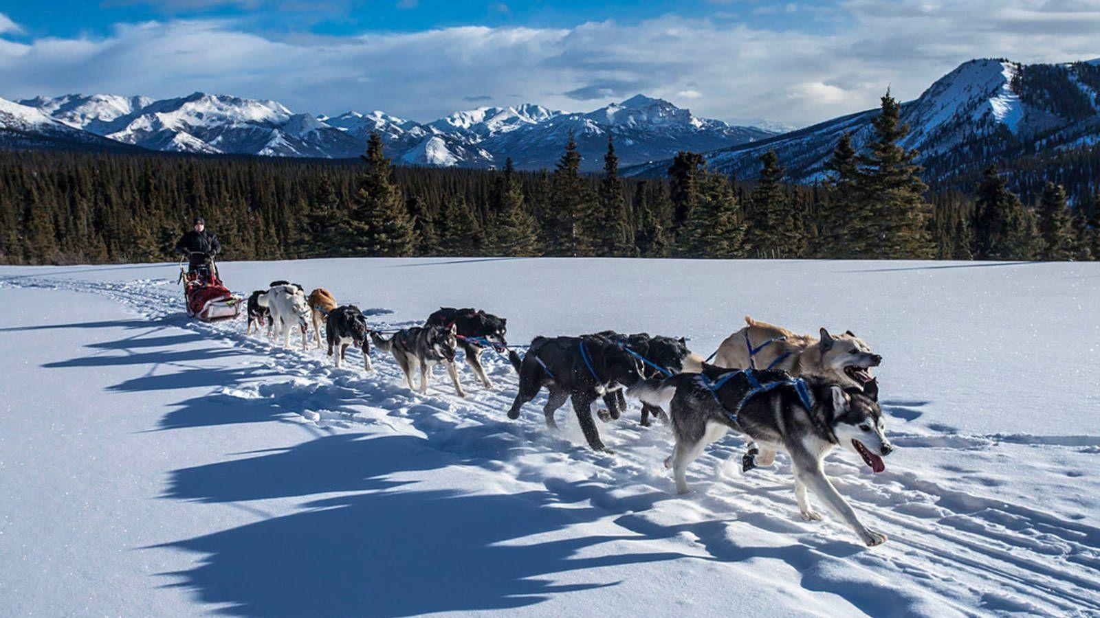 1600x900 Happy Birthday, Denali · National Parks Conservation Association, Desktop