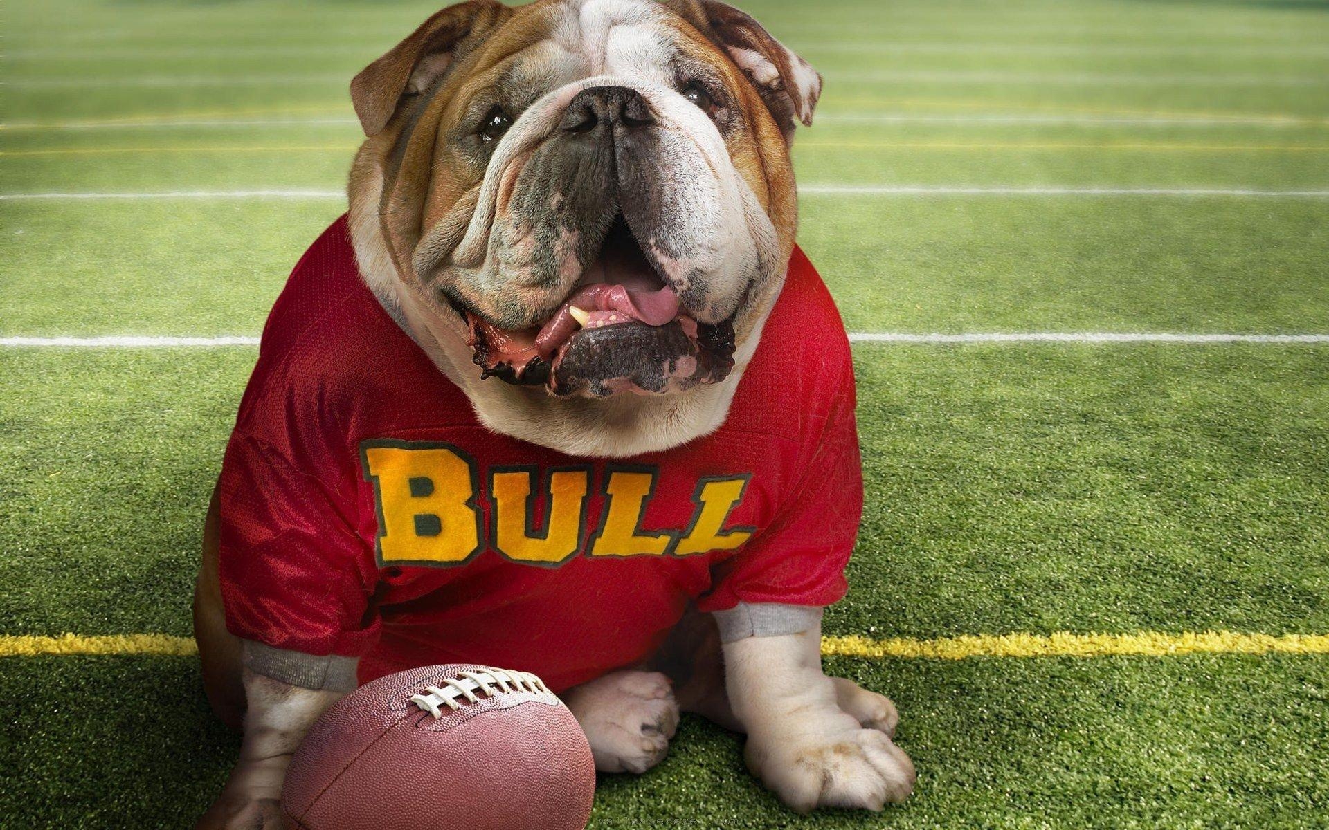 1920x1200 Georgia Bulldogs wallpaper HD for desktop background, Desktop