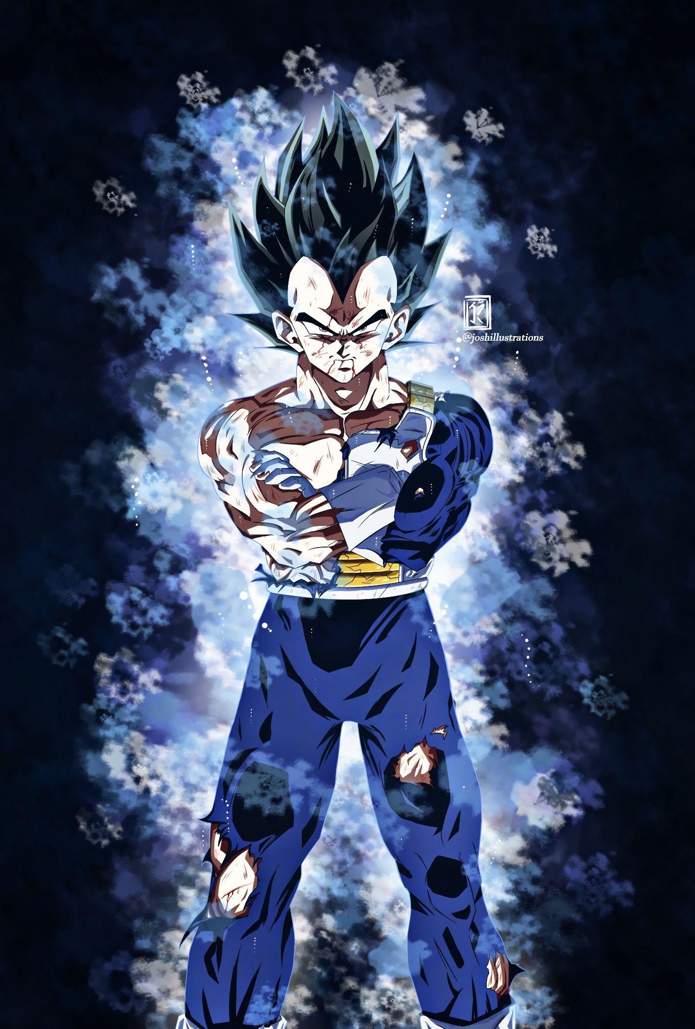 1380x2040 OC Ultra Instinct Vegeta, Phone