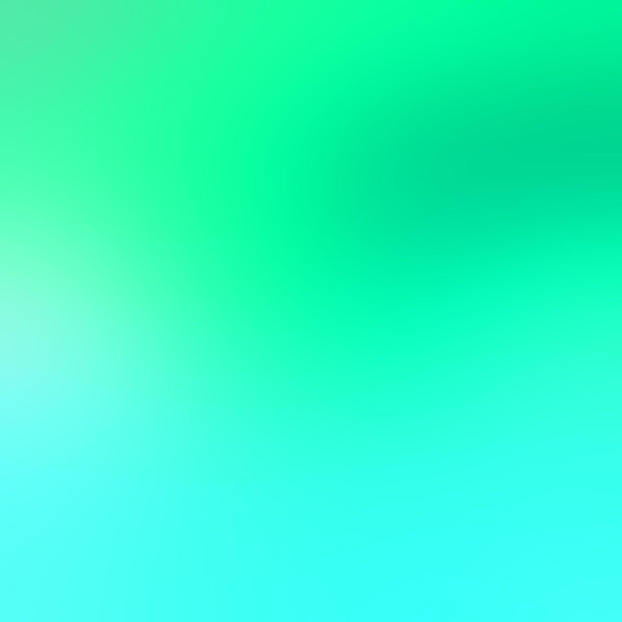 2050x2050 Solid Green Wallpaper, Phone