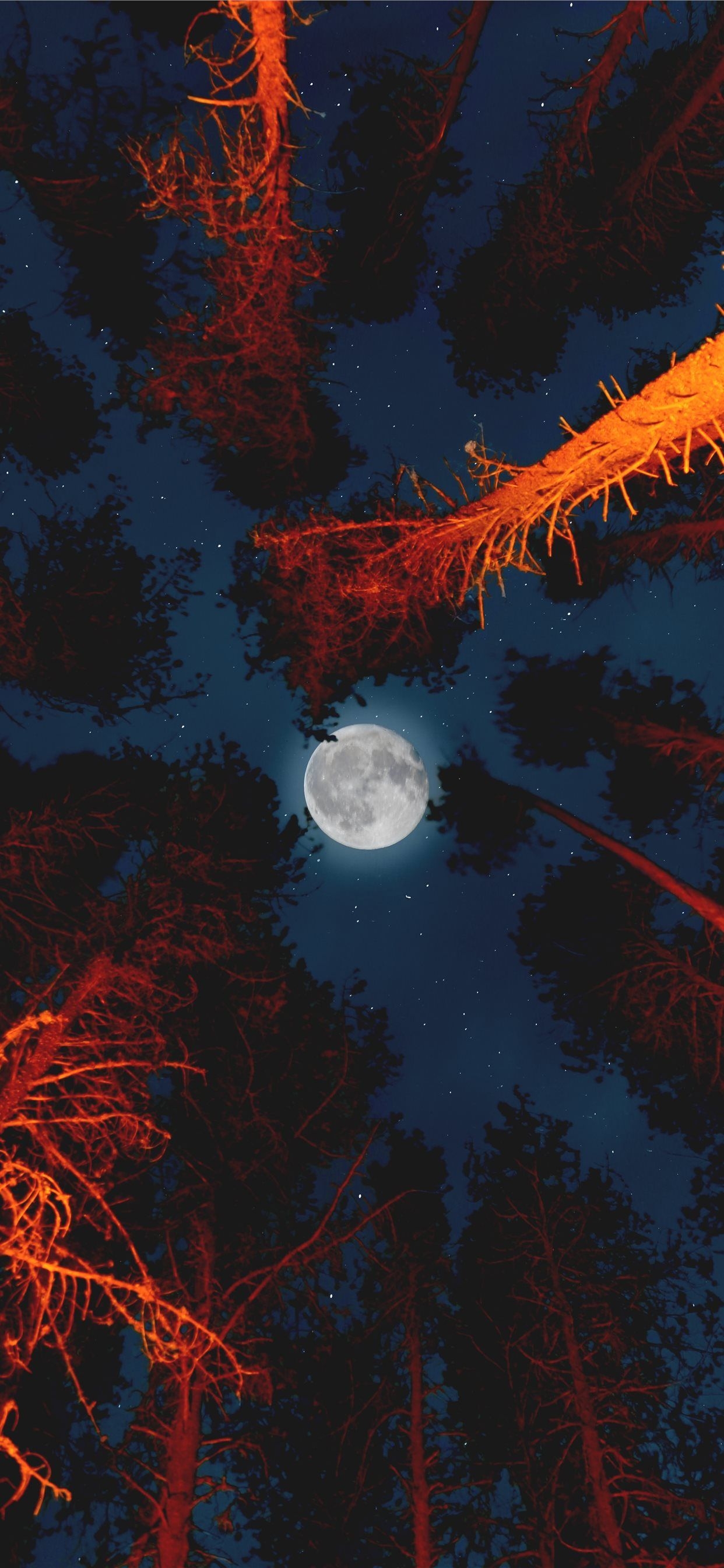 1250x2690 full moon iPhone X Wallpaper Free Download, Phone