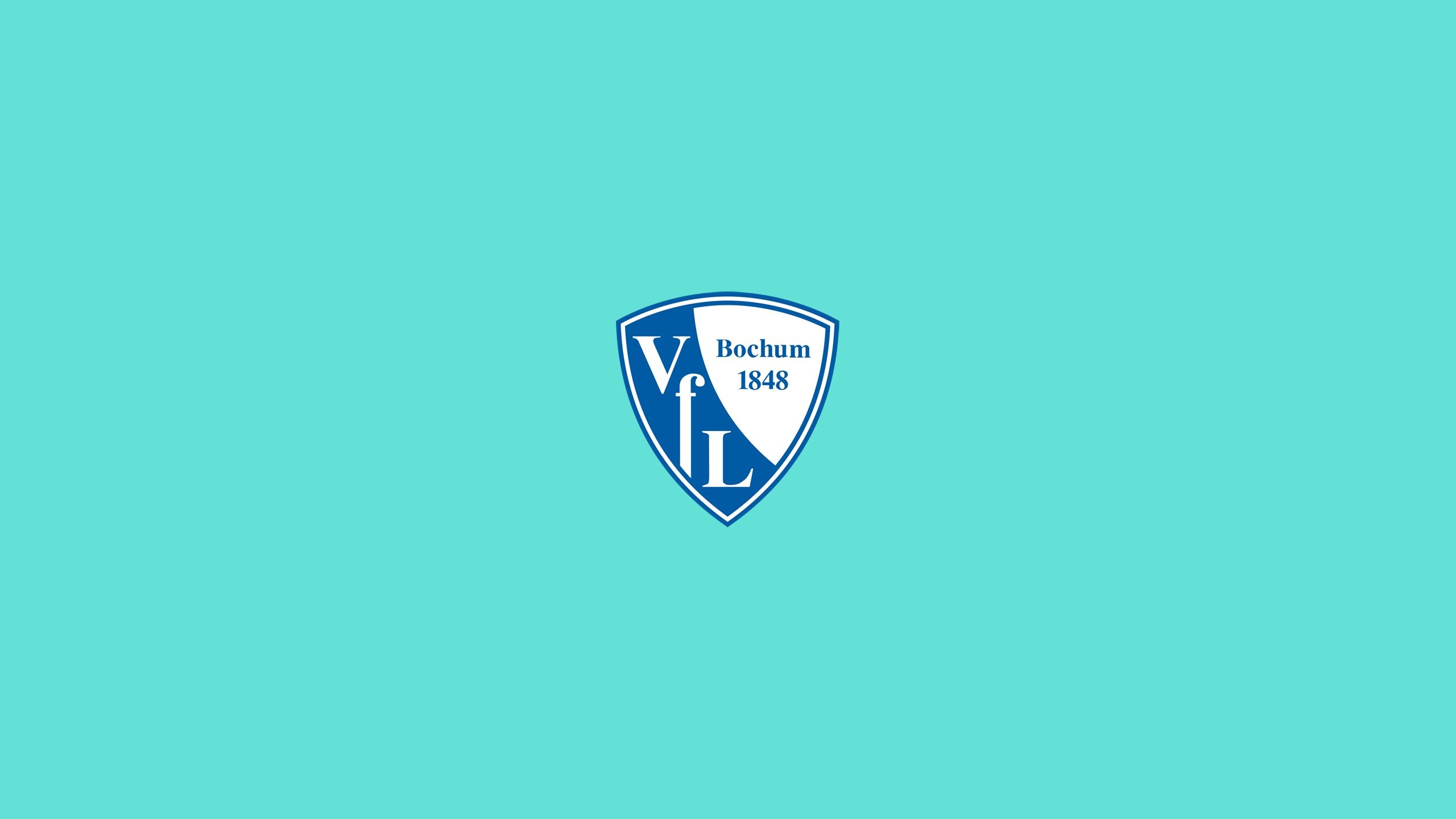 2560x1440 Download Vfl Bochum wallpaper for mobile phone, free Vfl Bochum HD picture, Desktop