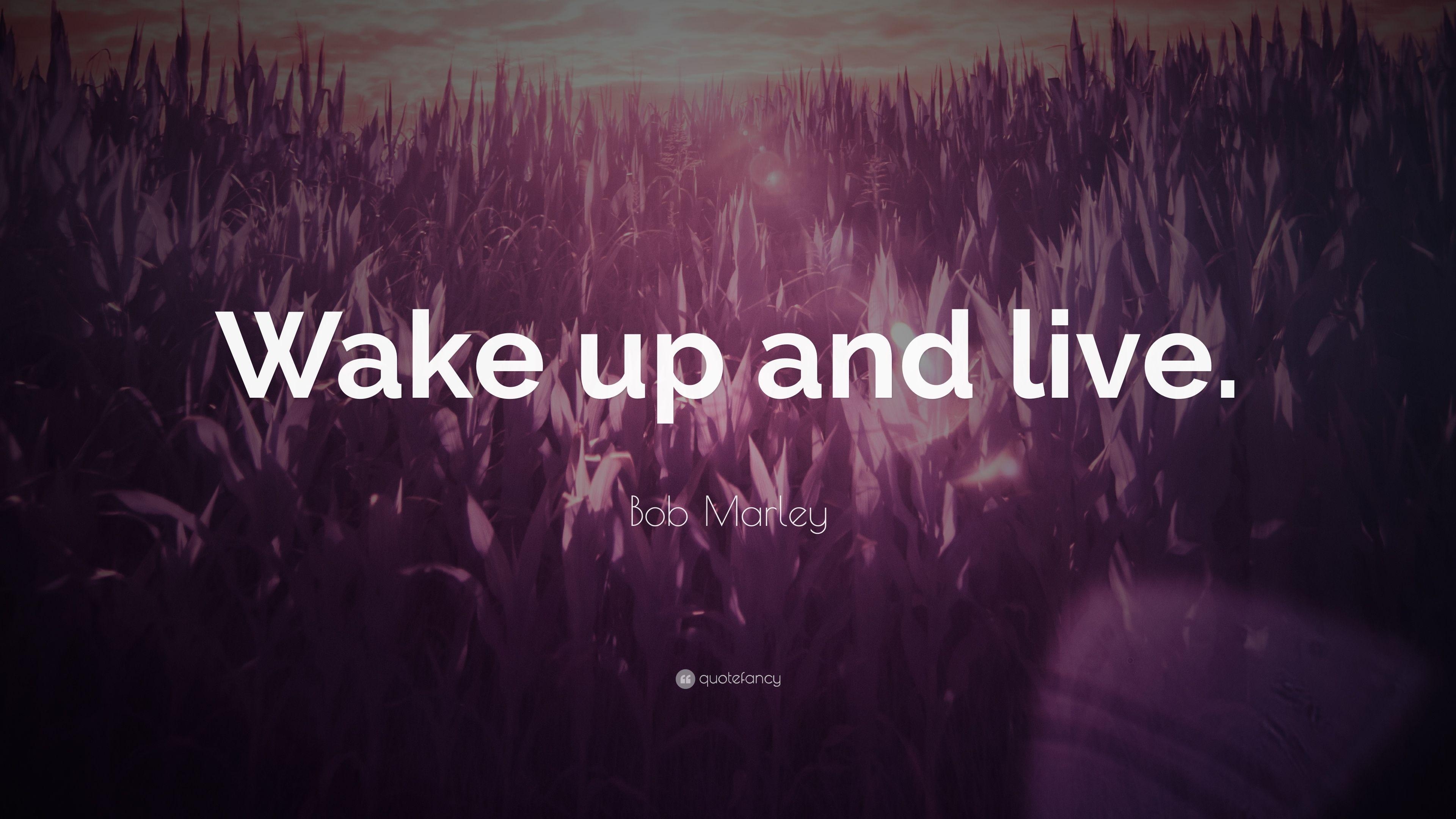 3840x2160 Bob Marley Quote: “Wake up and live.” (23 wallpaper), Desktop