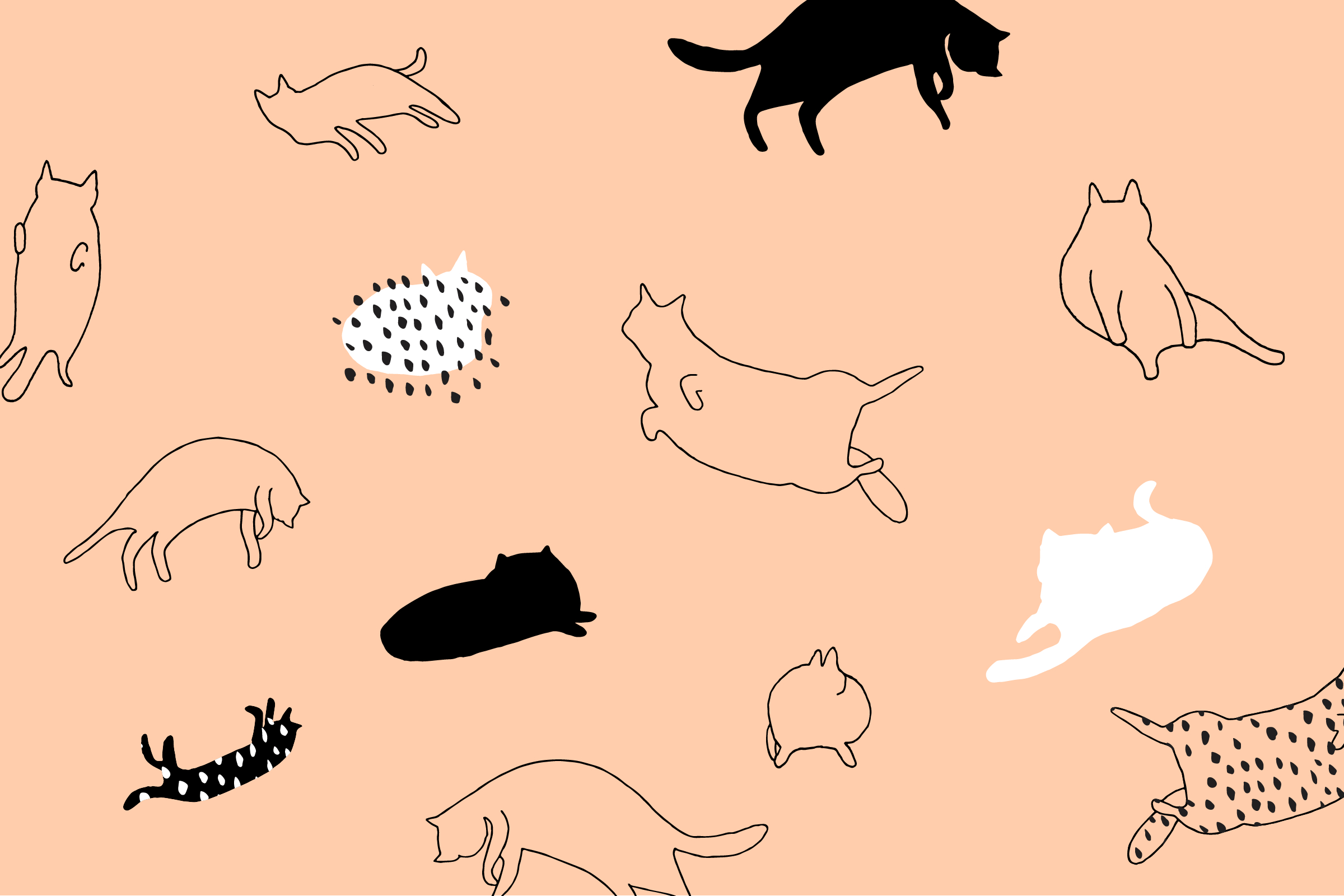 2400x1600 Cartoon Cat Desktop Wallpaper Free Cartoon Cat Desktop Background, Desktop