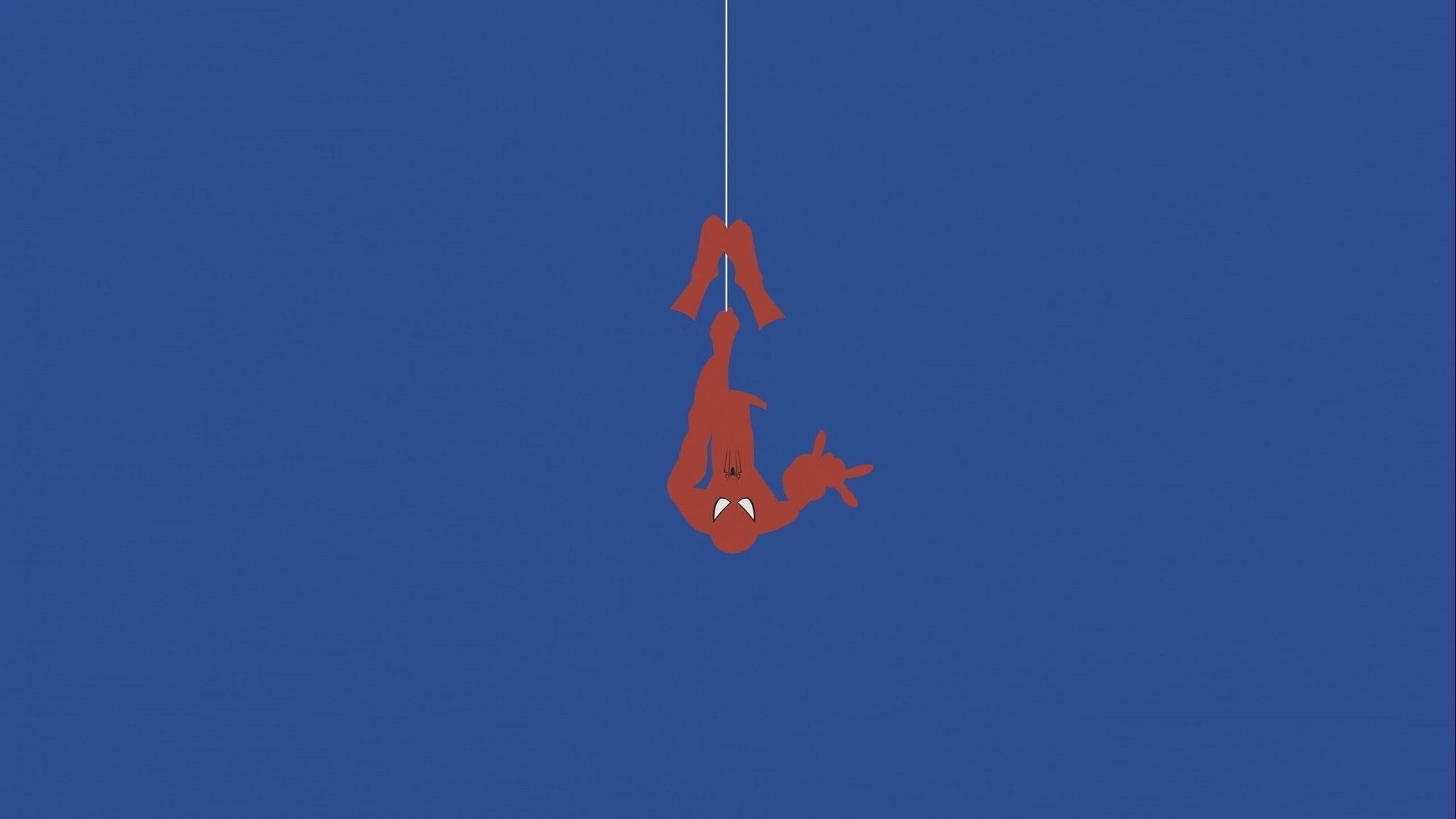 2560x1440 Minimal Spiderman Wallpaper, Desktop