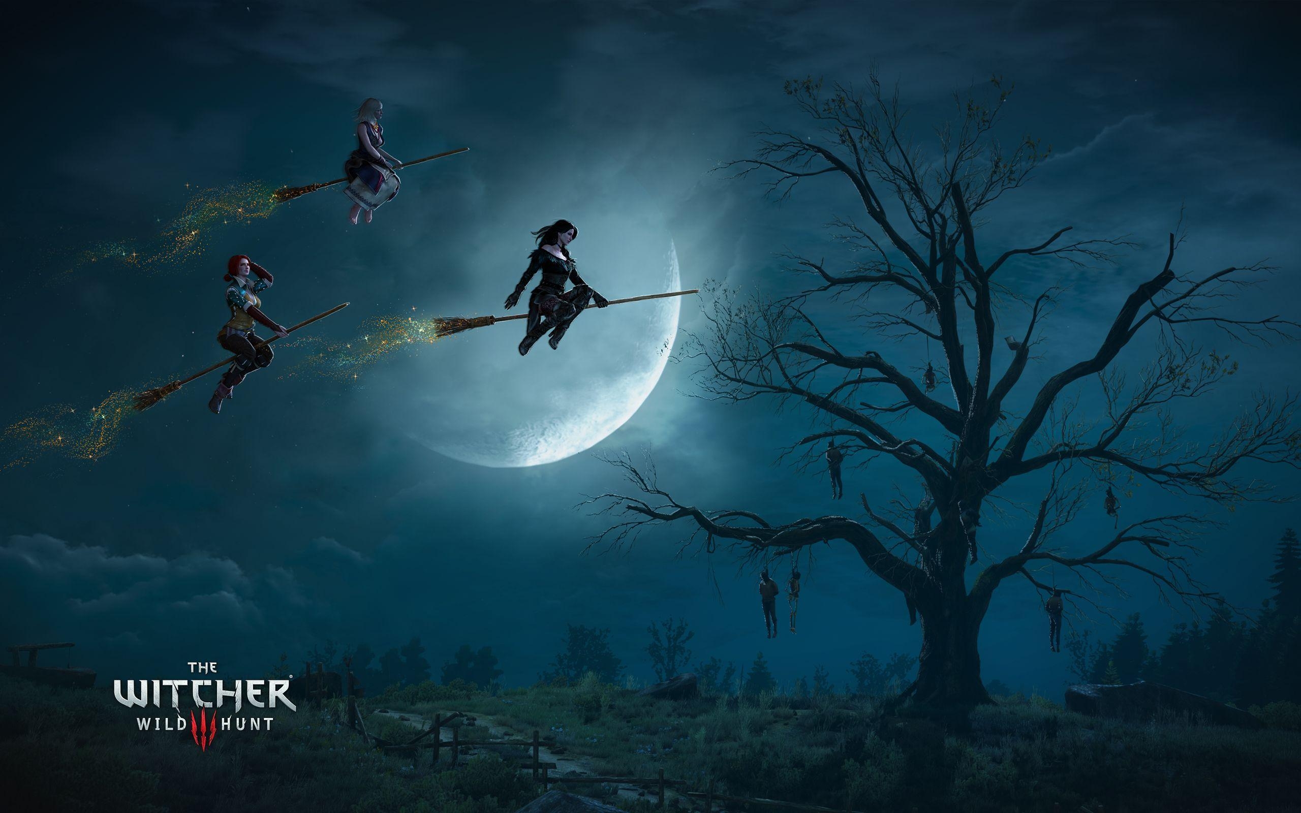 2560x1600 The Witcher 3 Wild Hunt Witches Wallpaper, Desktop