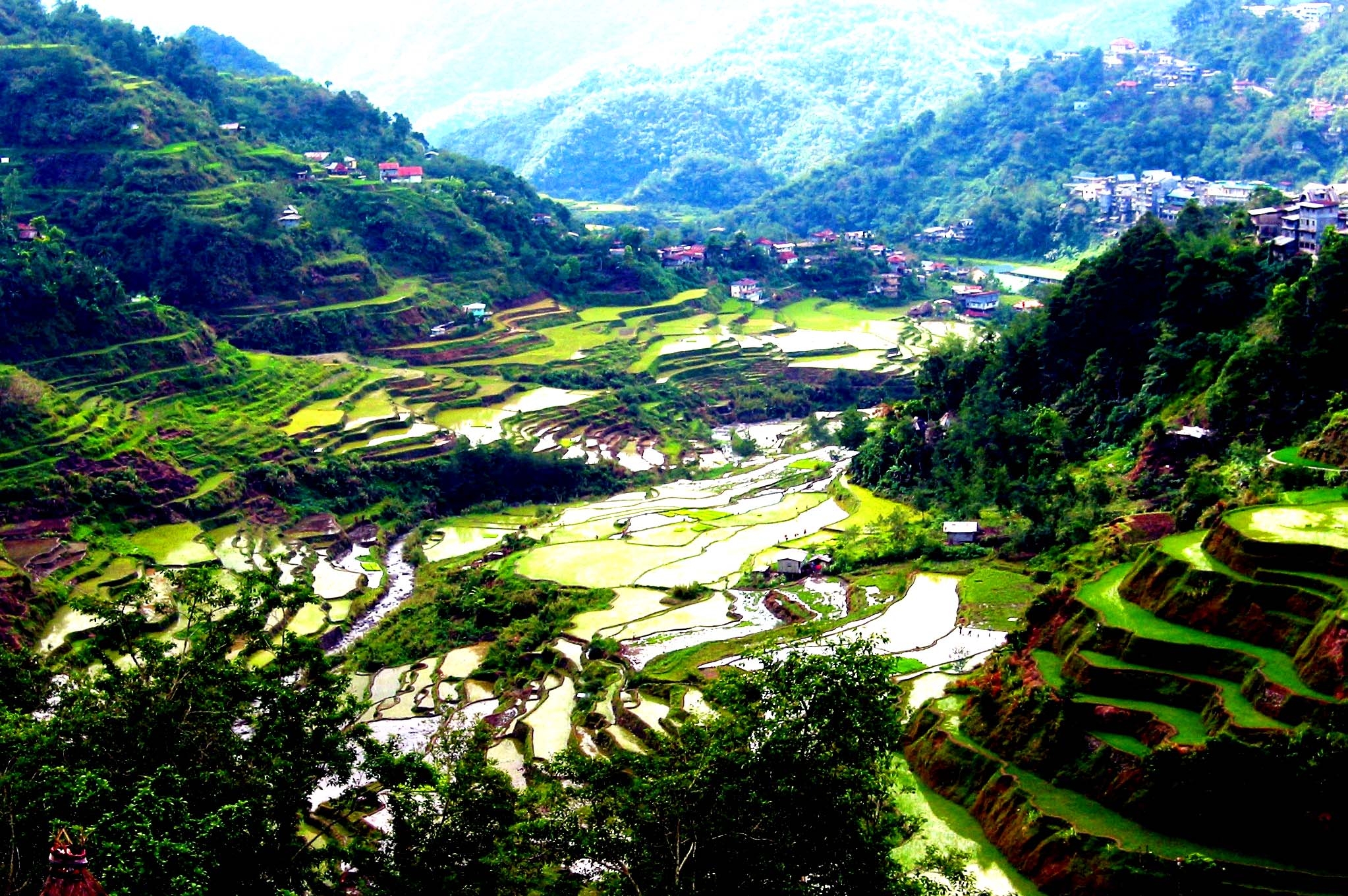 2050x1370 Rice Terraces Wallpaper High Quality, Desktop