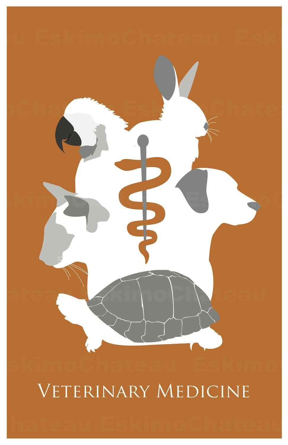 980x1500 Veterinary Medicine Tech 11x17 Minimalism Poster Print, Teacher Gifts & Dorm Decor. $16. Via. Vet Medicine, Veterinary Medicine, Veterinary, Phone