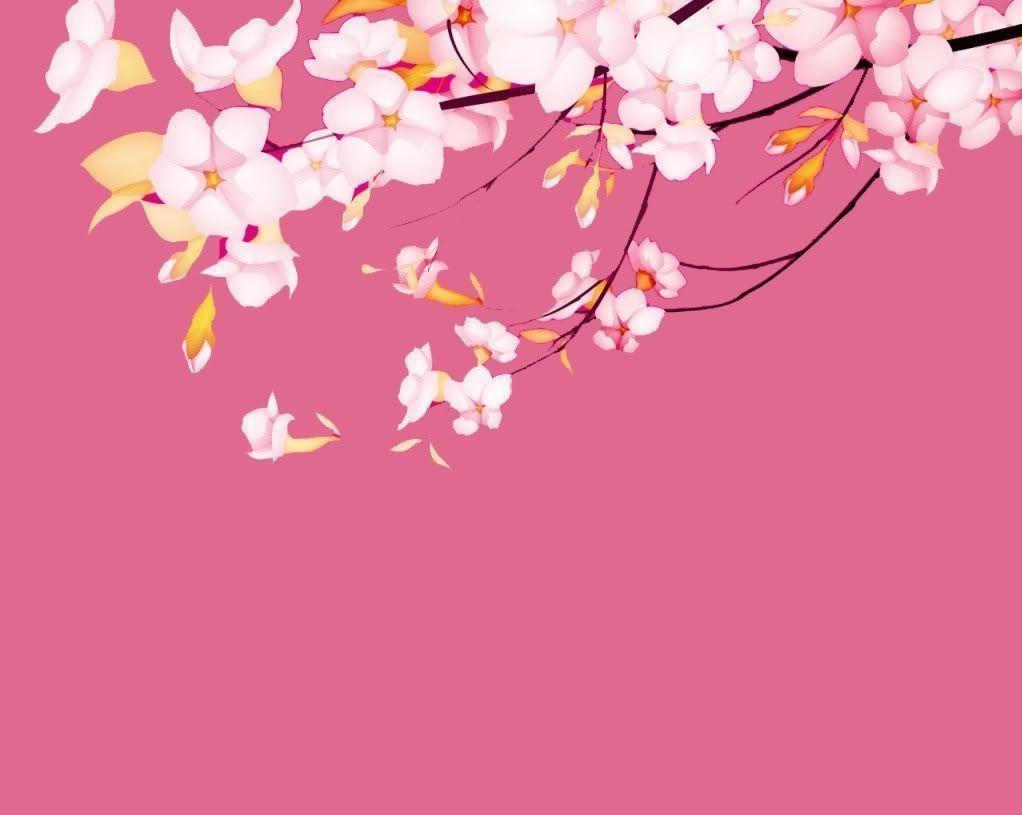 1030x820 Sakura.flower Wallpaper.com. Latest HD Wallpaper, Desktop