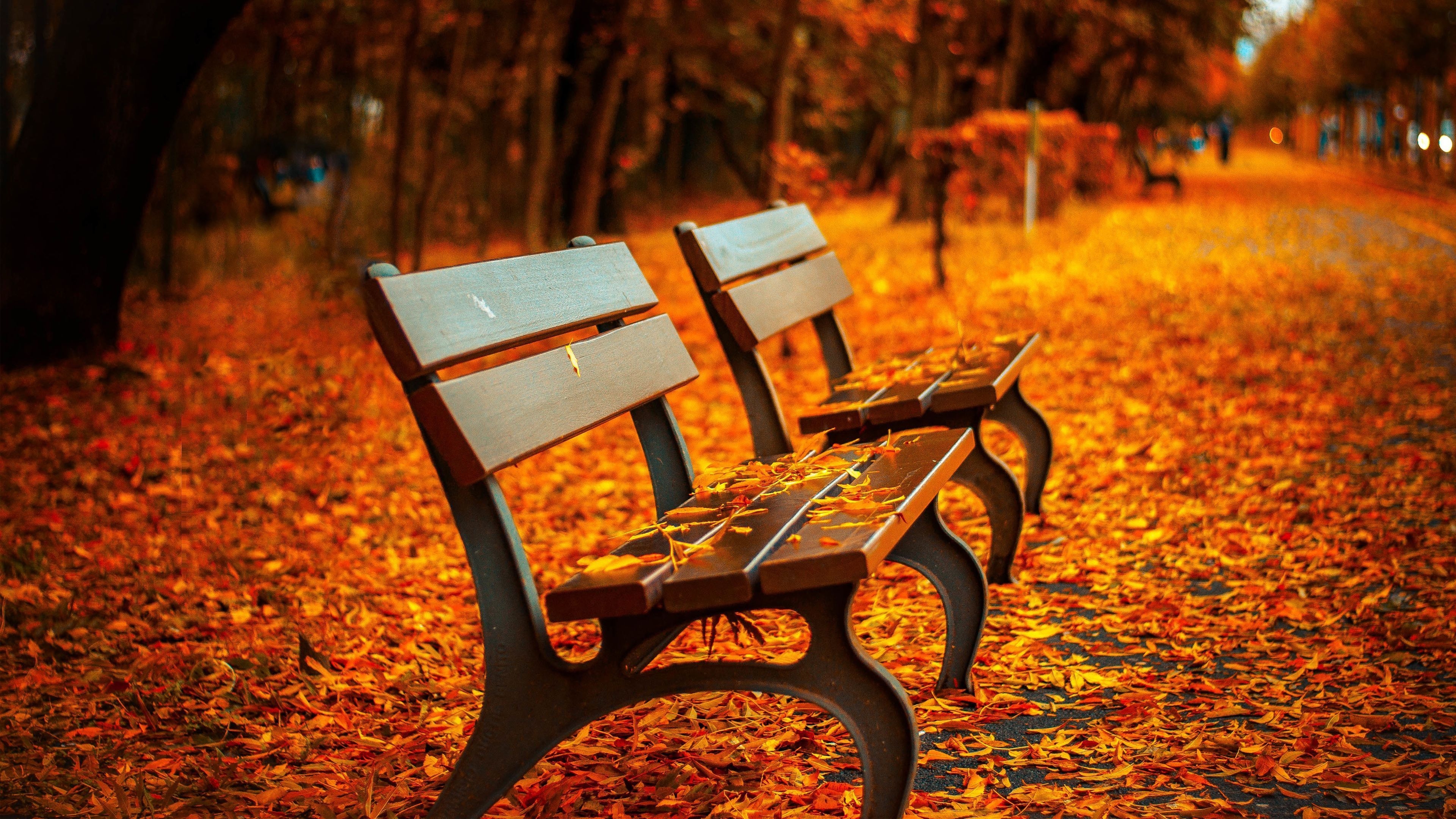 3840x2160 Wallpaper Tagged With AUTUMN. Download Wallpaper, Desktop