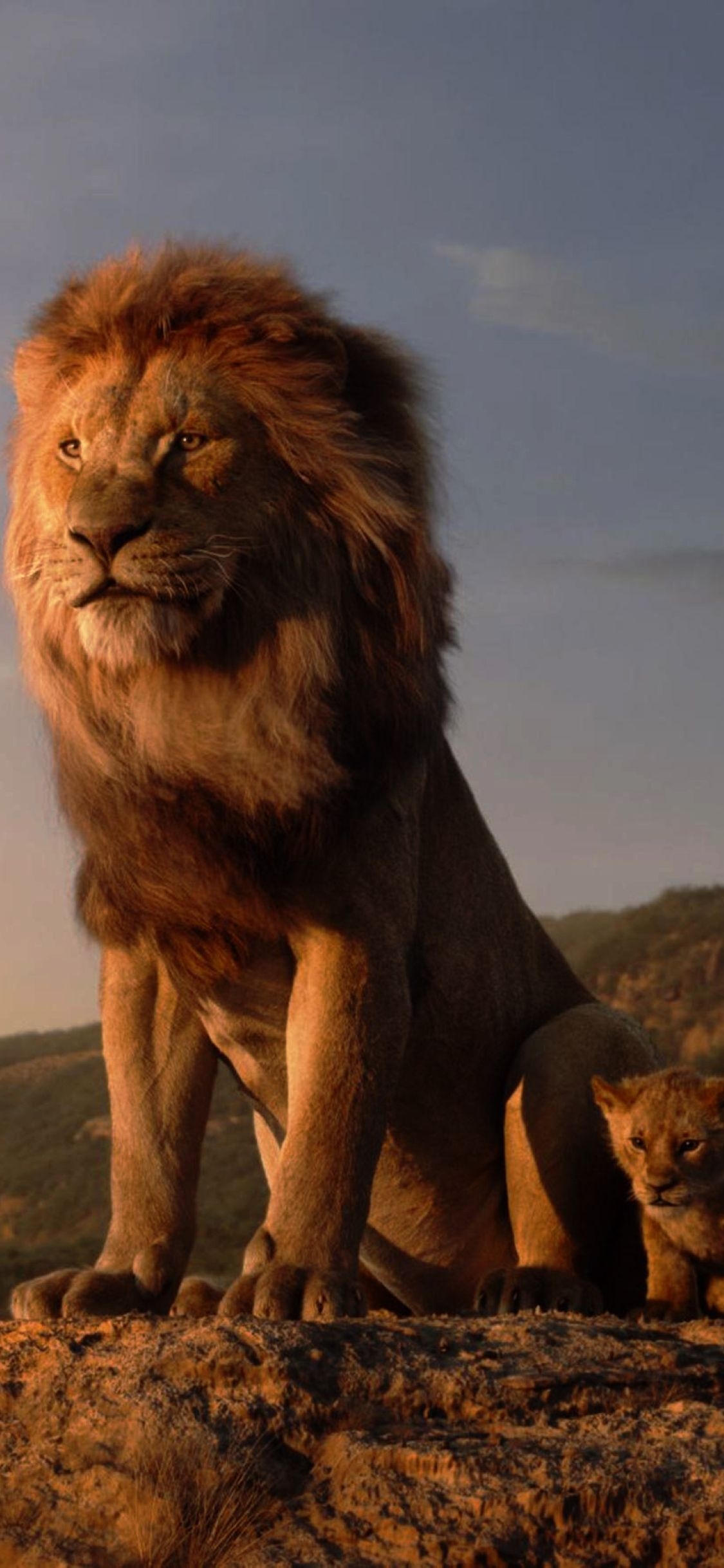 1130x2440 The Lion King iPhone XS, iPhone iPhone X Wallpaper, HD Movies 4K Wallpaper, Image, Photo and Background, Phone