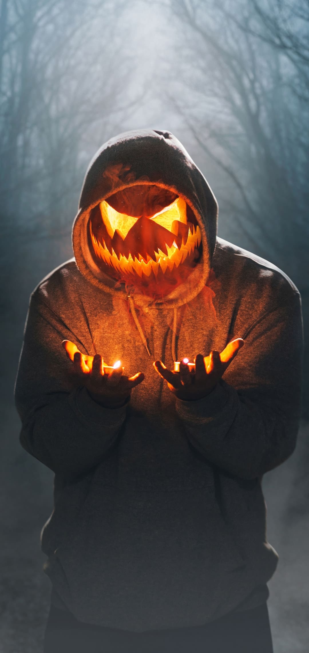 1080x2280 Halloween Wallpaper -K Background Download, Phone