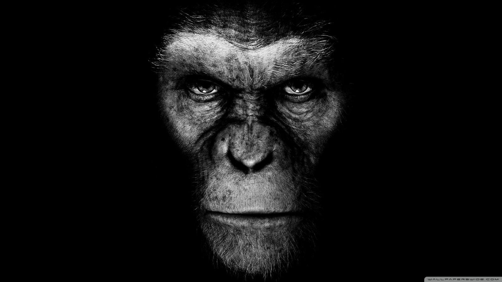 1600x900 Rise of the planet of the Apes. HD desktop wallpaper, Desktop