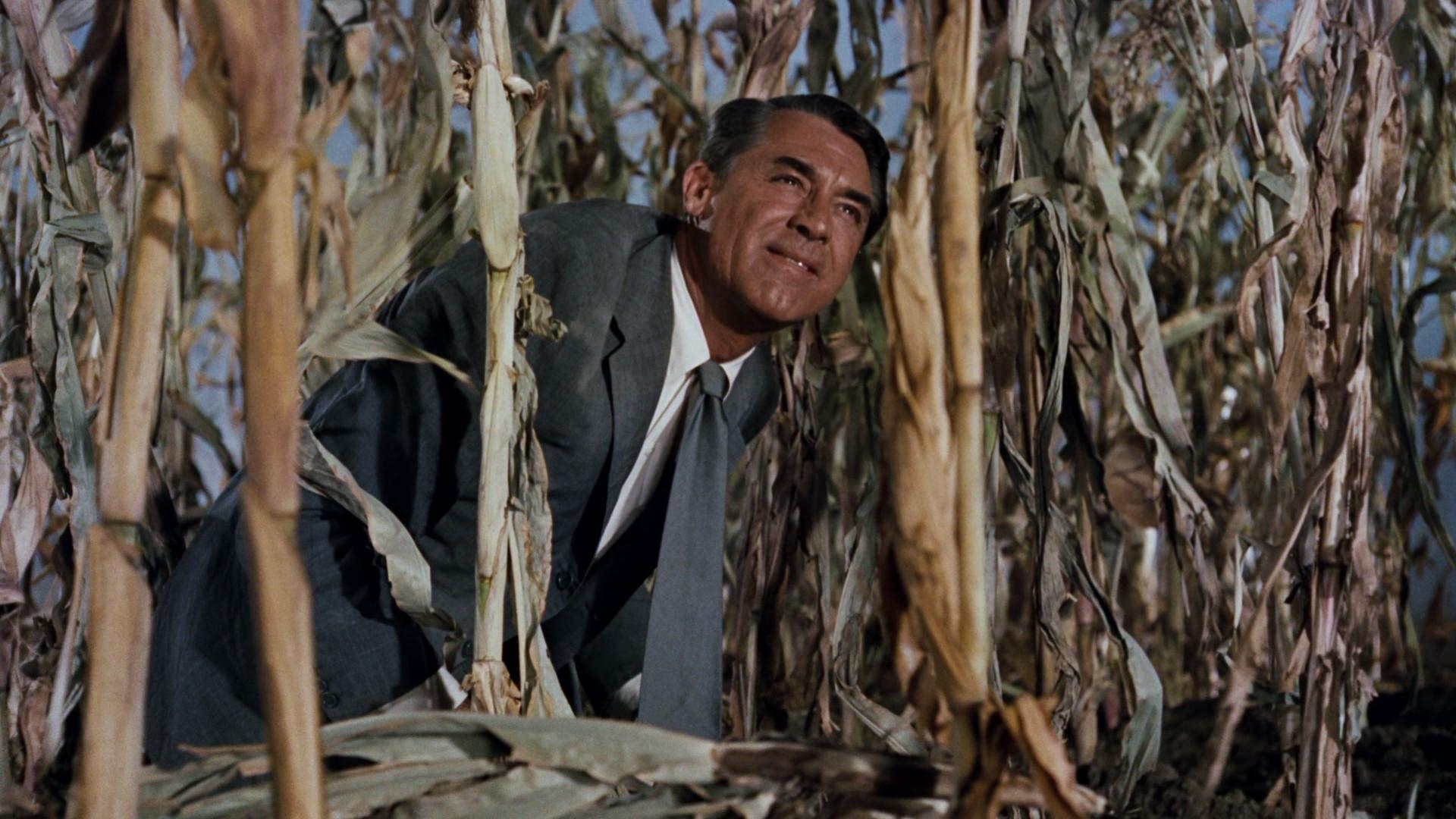 1920x1080 North By Northwest Blu Ray Cary Grant, Desktop