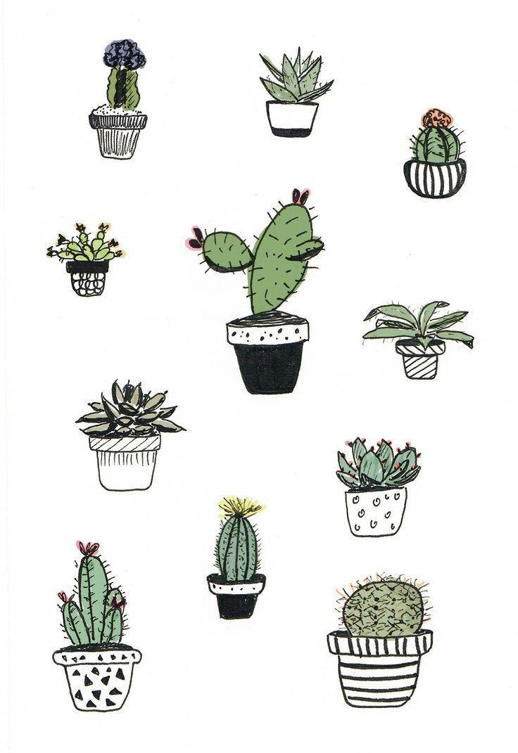 740x1080 Collection of Tiny Cactus Drawing. High quality, free clipart, Phone