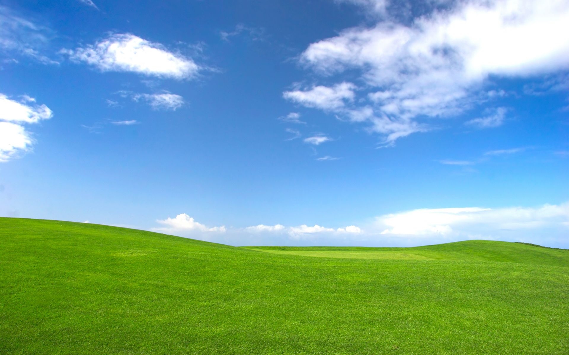 1920x1200 Hill (). Grass wallpaper, Desktop background picture, Desktop wallpaper, Desktop