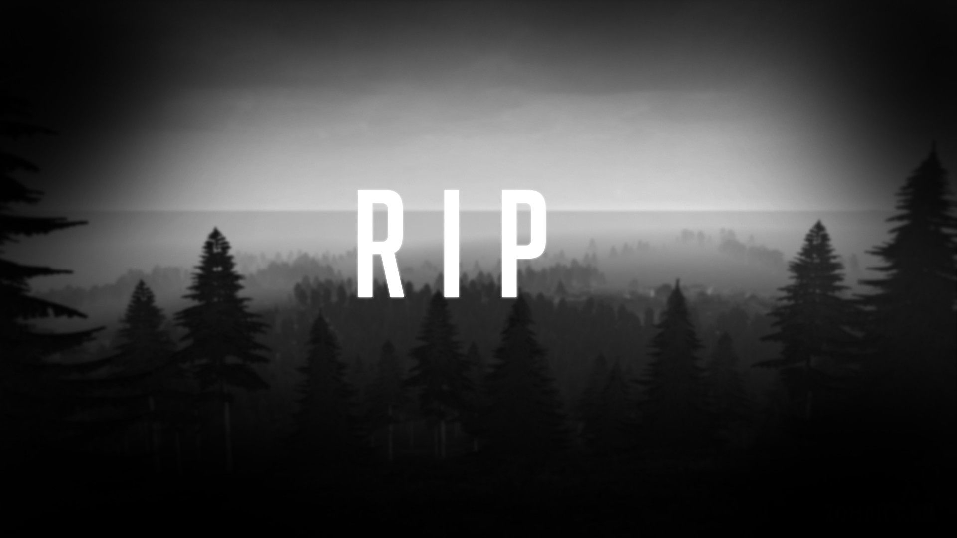 1920x1080 Rip Wallpaper Free Rip Background, Desktop