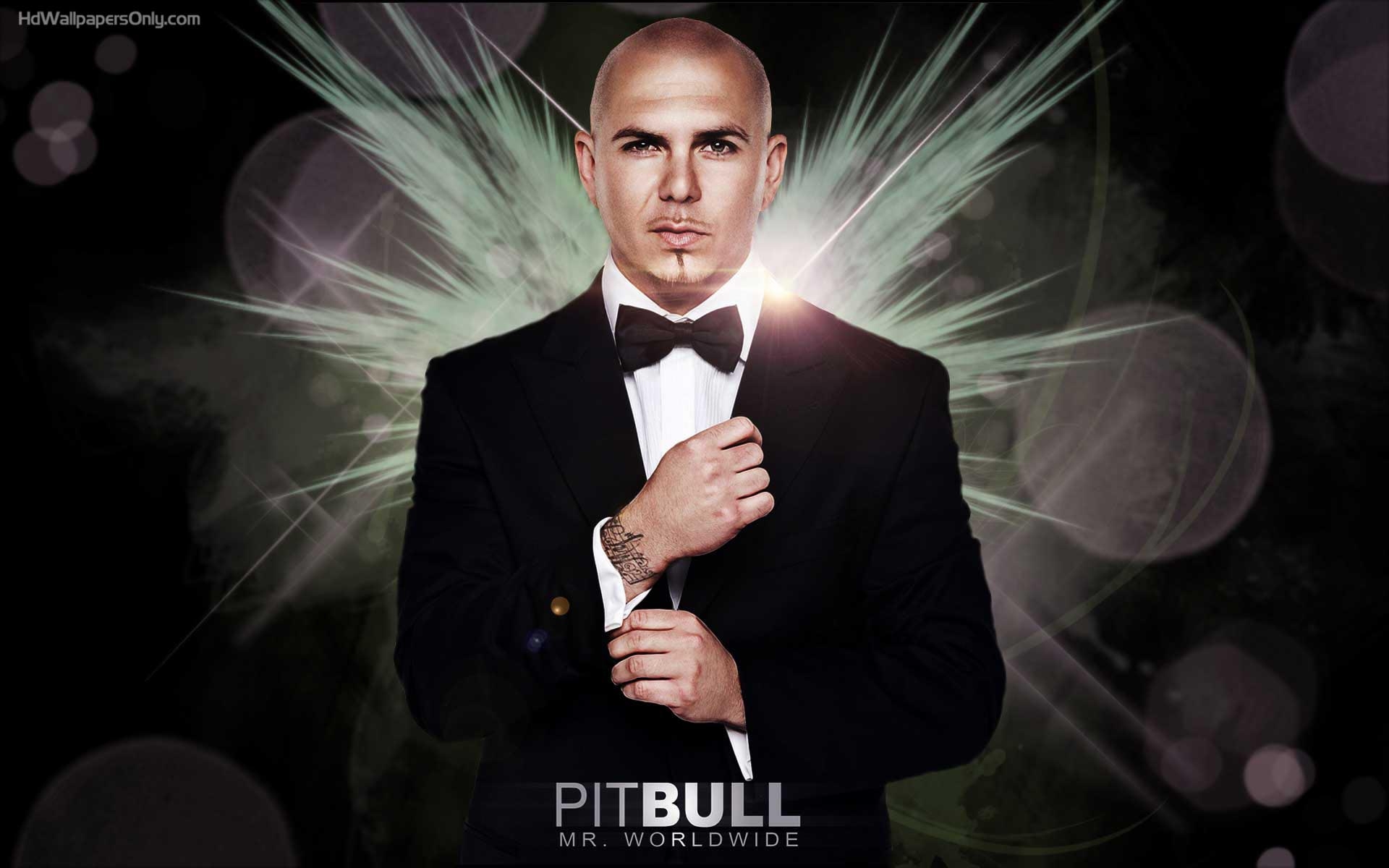 1920x1200 Pitbull Wallpaper, Desktop