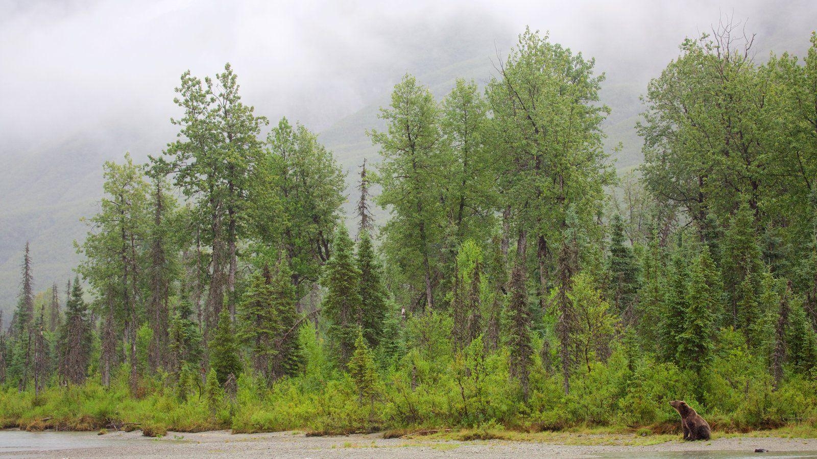 1600x900 Peaceful Picture: View Image of Lake Clark National Park, Desktop