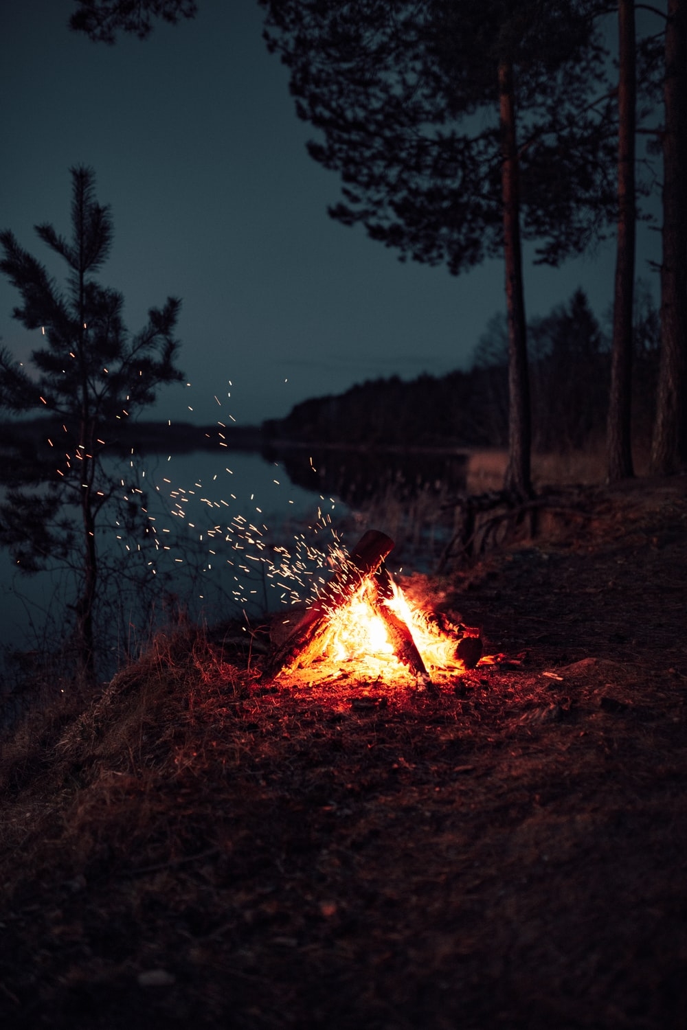 1000x1500 Fire Pit Picture [HQ]. Download Free Image, Phone