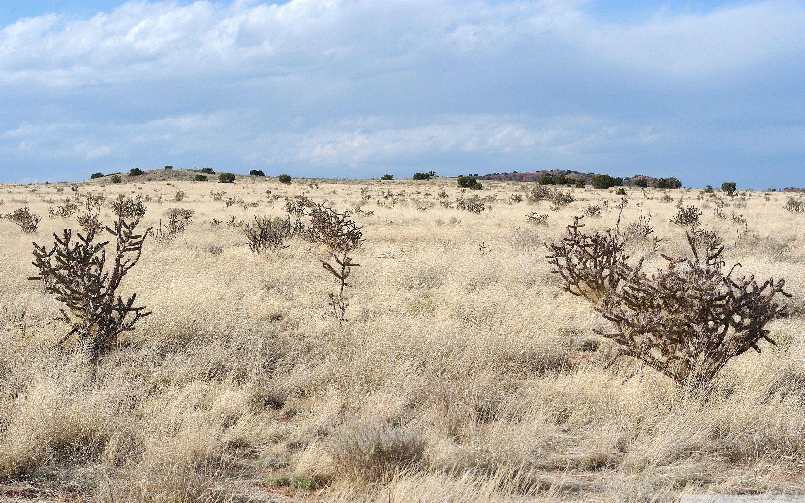 2560x1600 New Mexico Landscape HD desktop wallpaper, High Definition, Desktop