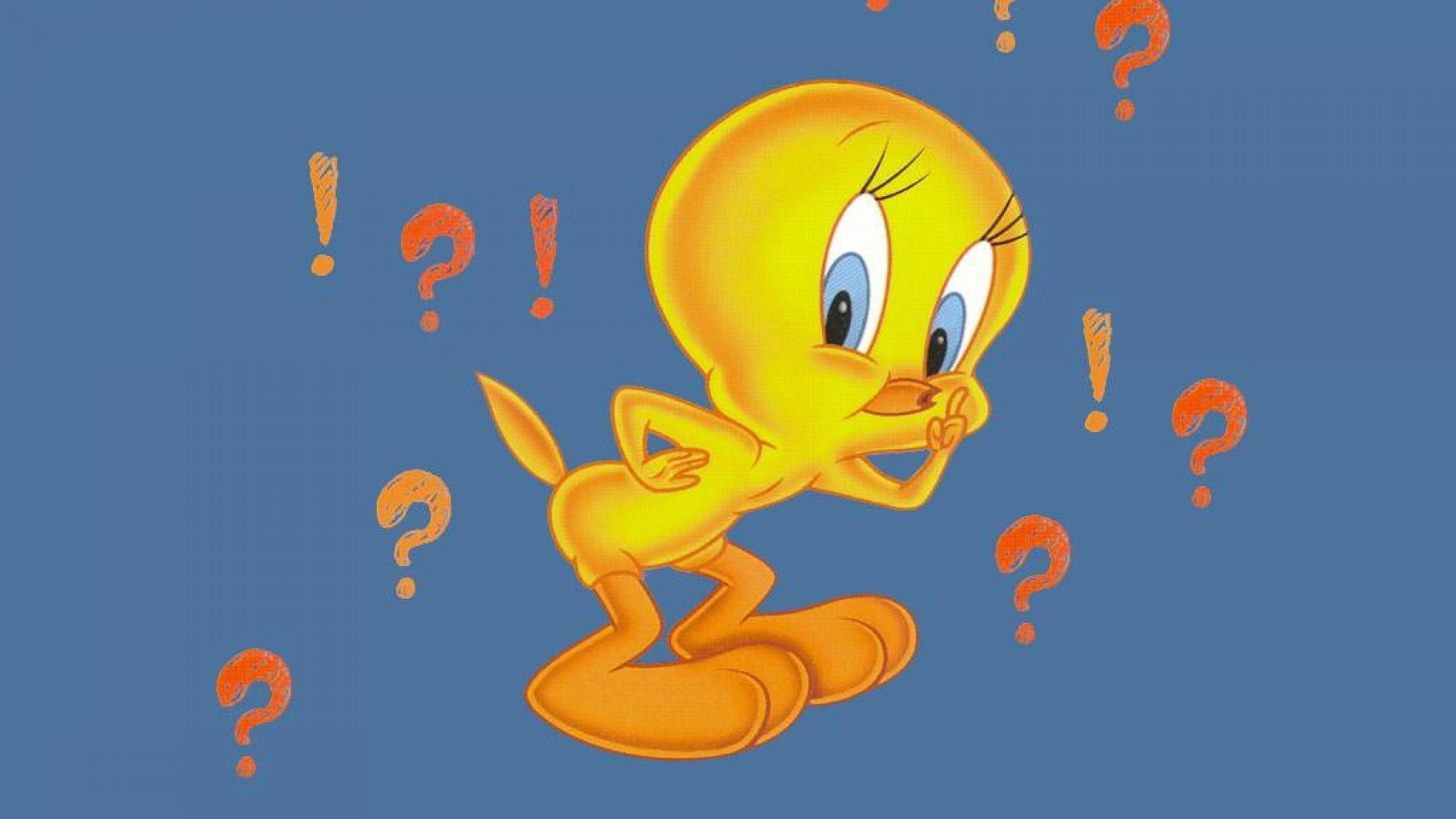 2560x1440 Tweety Pie Shh Exclamation Marks Question HD wallpaper #, Desktop