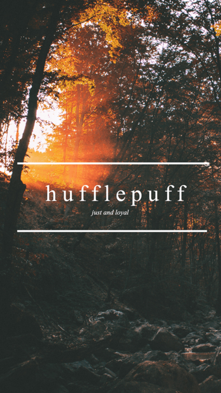 750x1340 Hufflepuff Wallpaper. hufflepuff common room, Phone