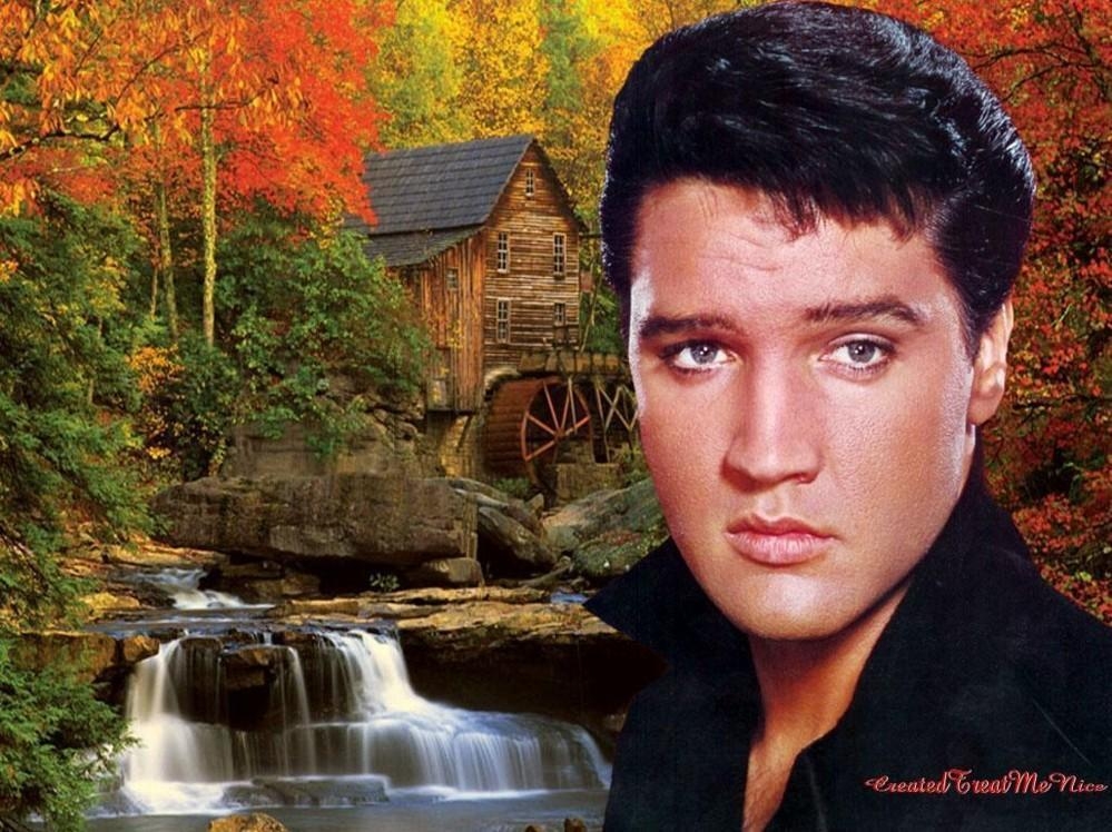 1000x750 Elvis WallPapers! Presley Photo, Desktop