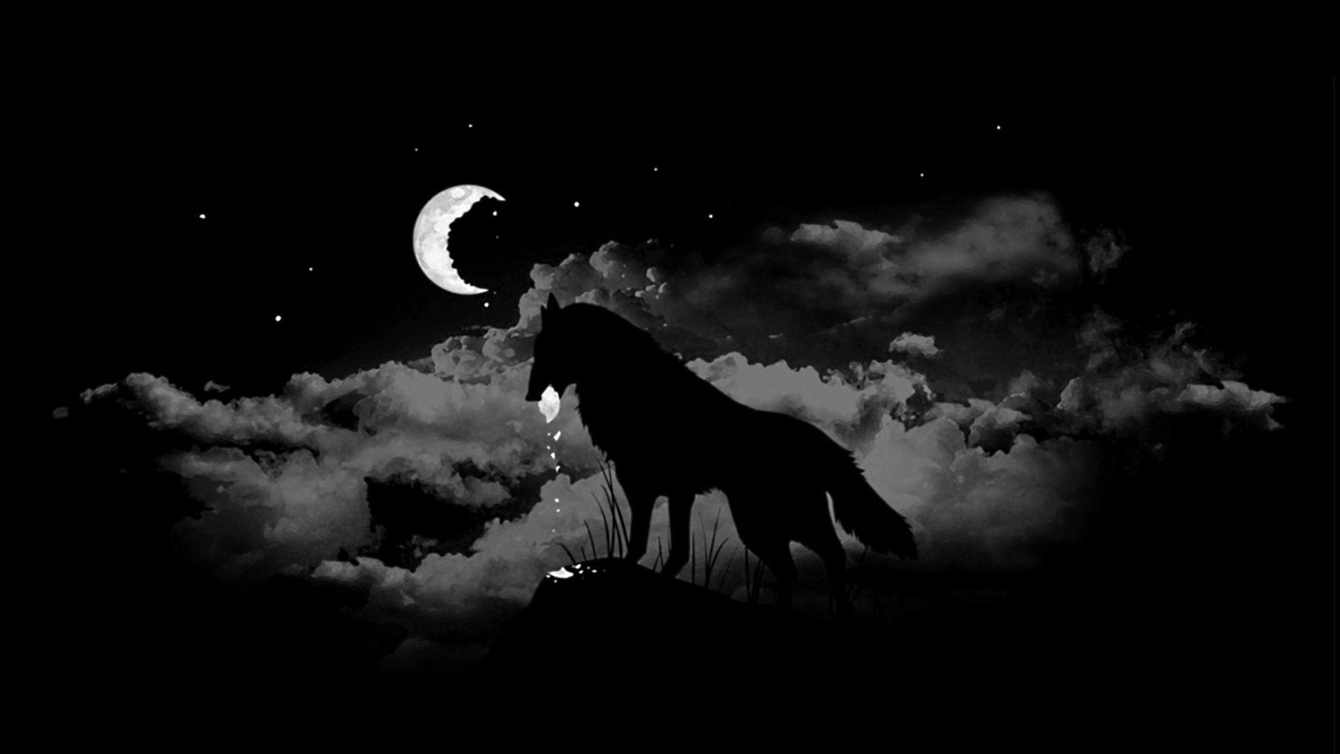 1920x1080 Wolf HD Wallpaper, Desktop