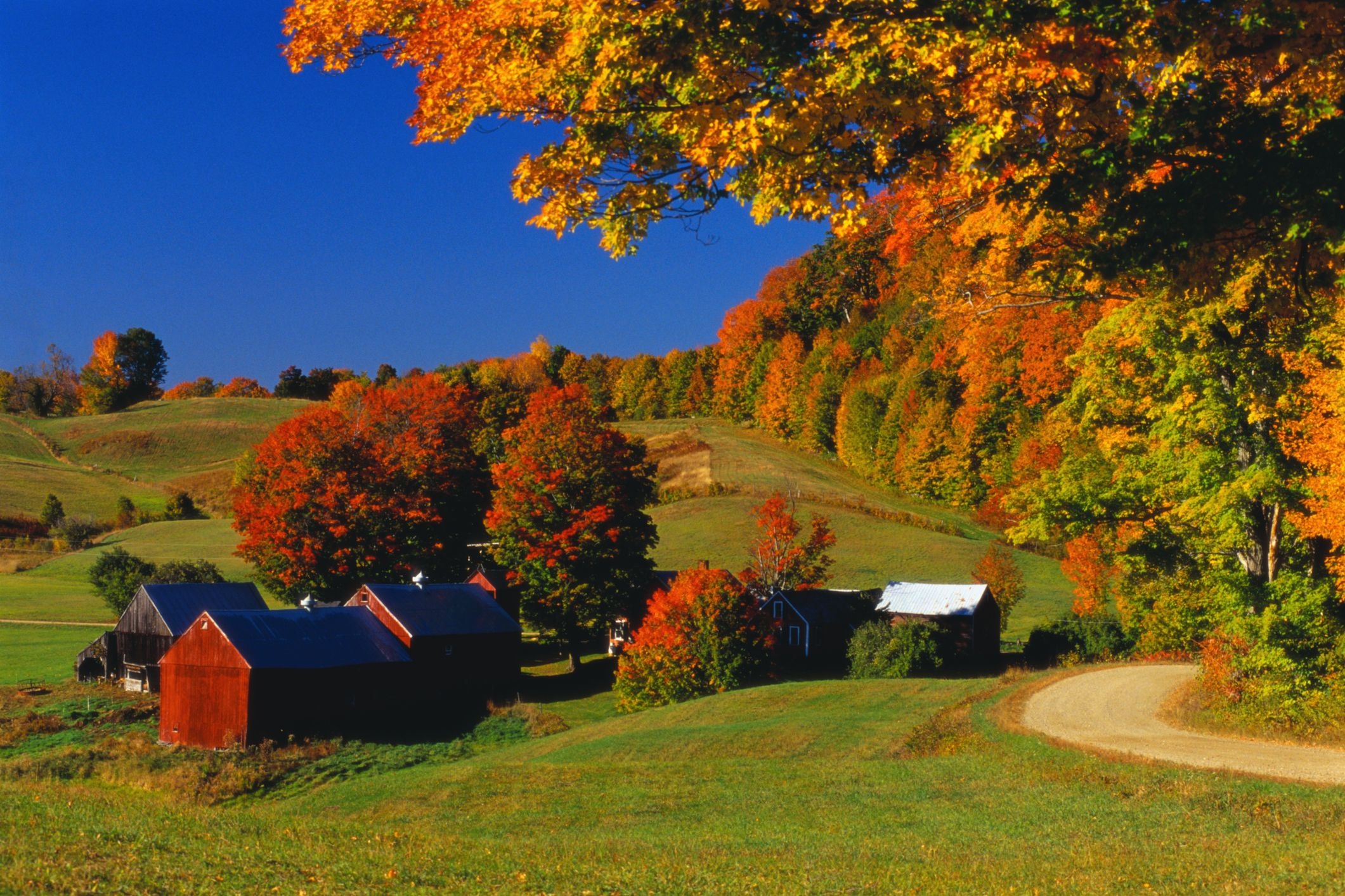 2130x1420 Beautiful Fall Picture Photo of Fall Foliage, Desktop