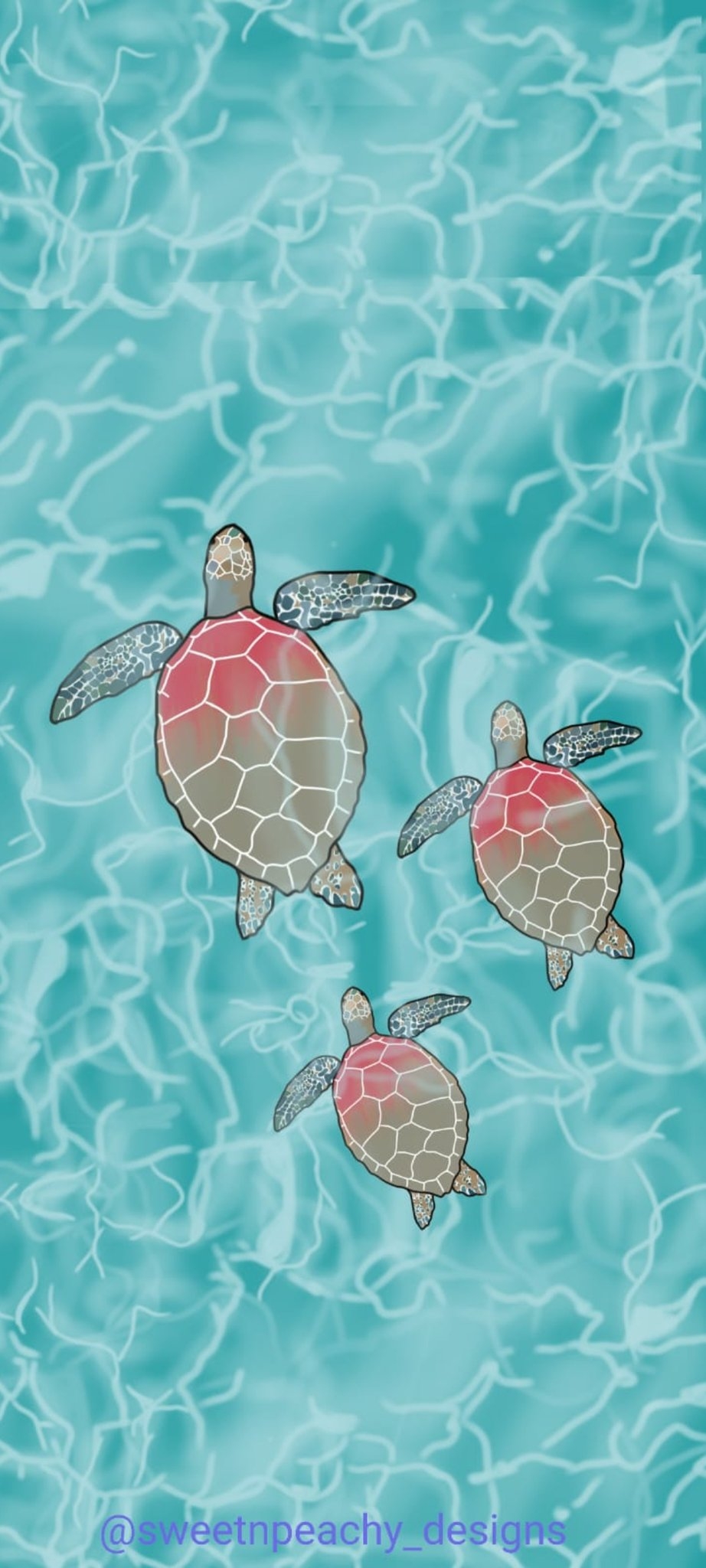 930x2050 4K Turtle Wallpaper, Phone