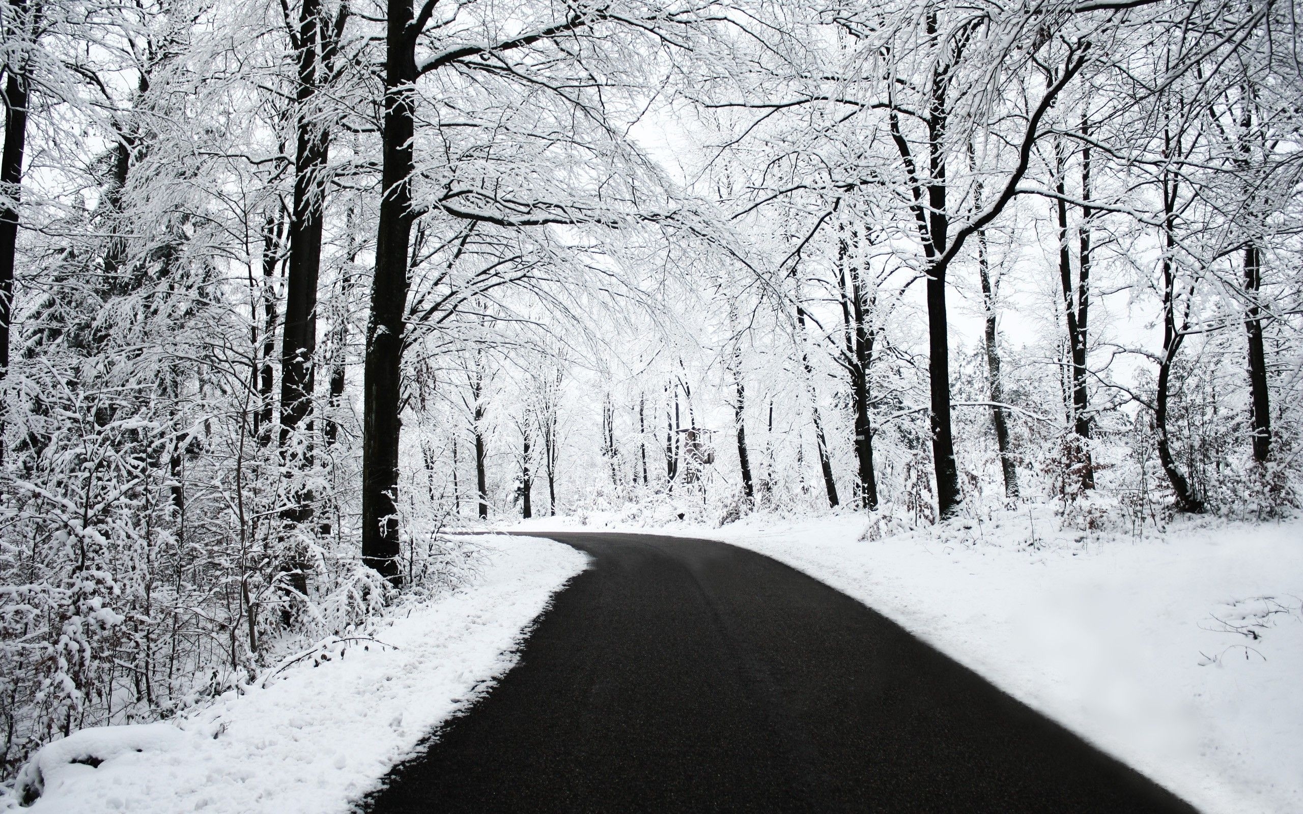 2560x1600 road, Snow, Black, White, Winter, Forest, Nature Wallpaper HD / Desktop and Mobile Background, Desktop