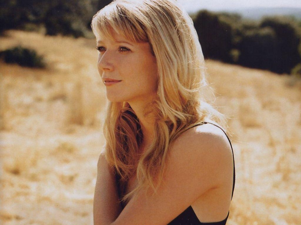 1030x770 Gwyneth Paltrow Wallpaper, Desktop