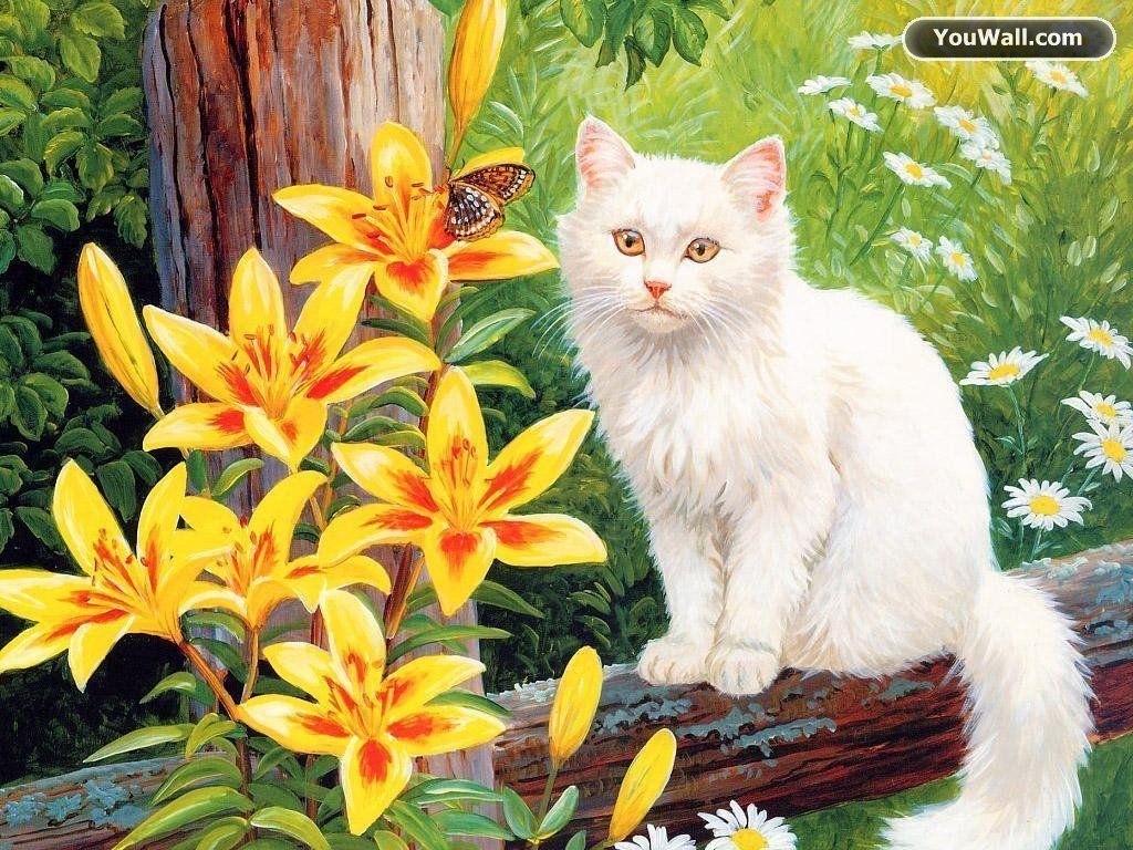 1030x770 Pix For > Beautiful White Cats Wallpaper, Desktop