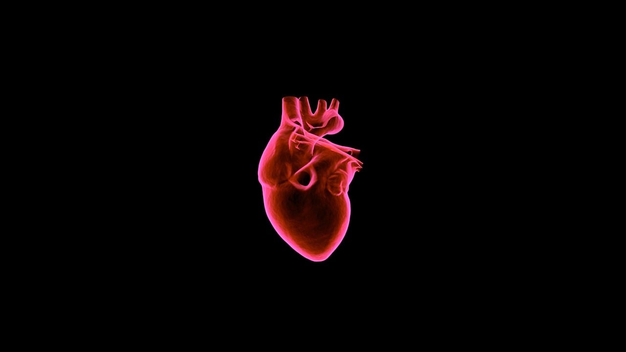 1280x720 Heart Medical C, Desktop