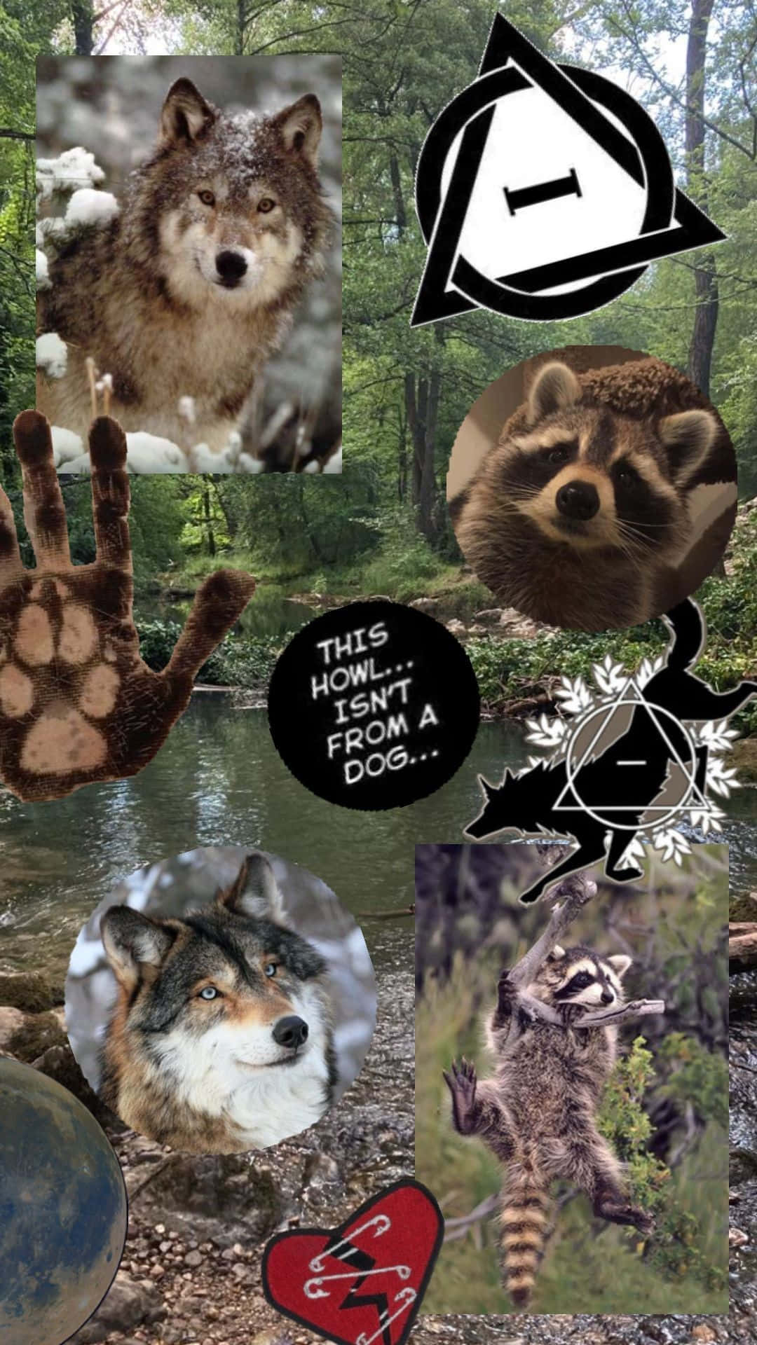 1080x1920 Download Therian Collage Wolf Raccoon, Phone