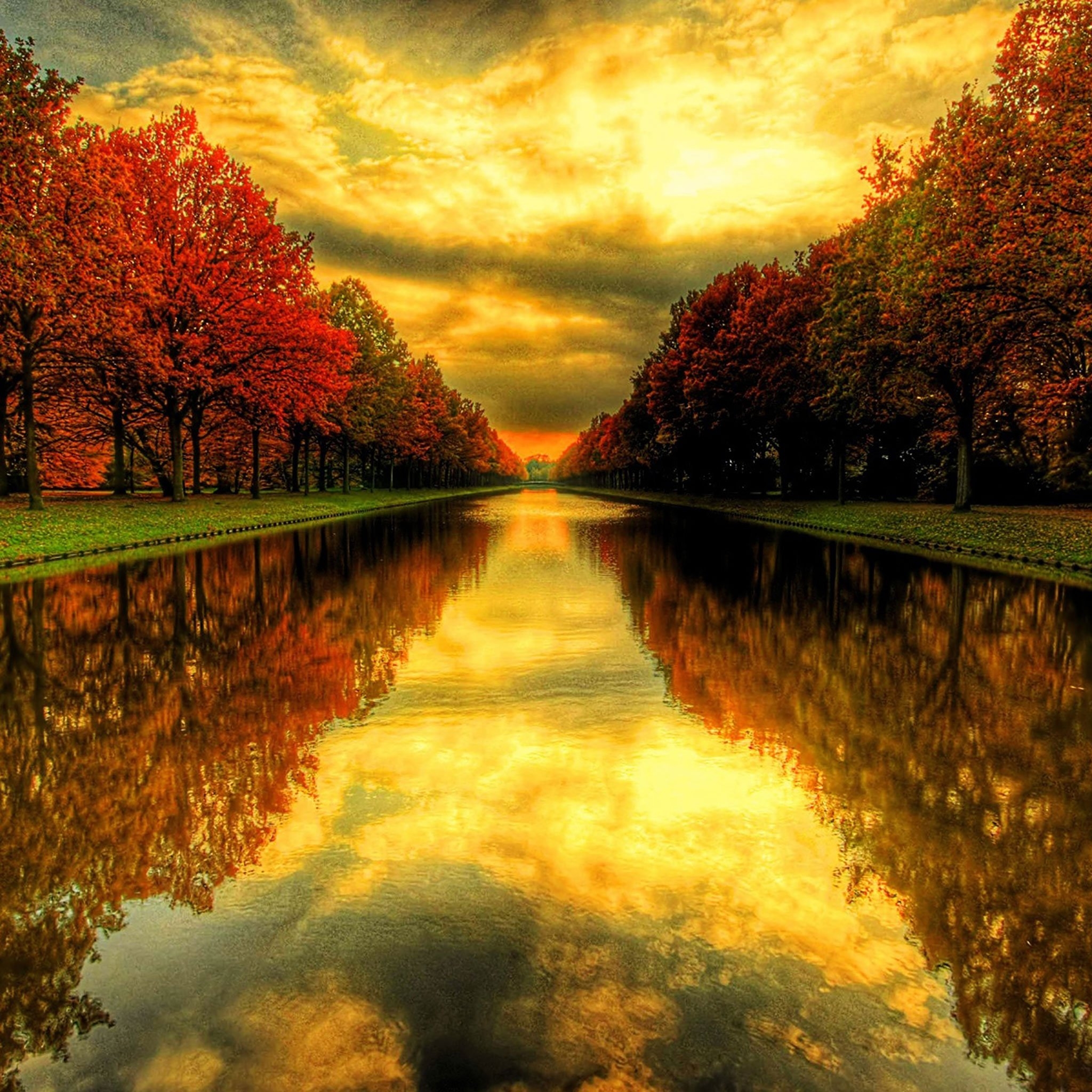 2050x2050 Autumn Wallpaper for iPad, Phone