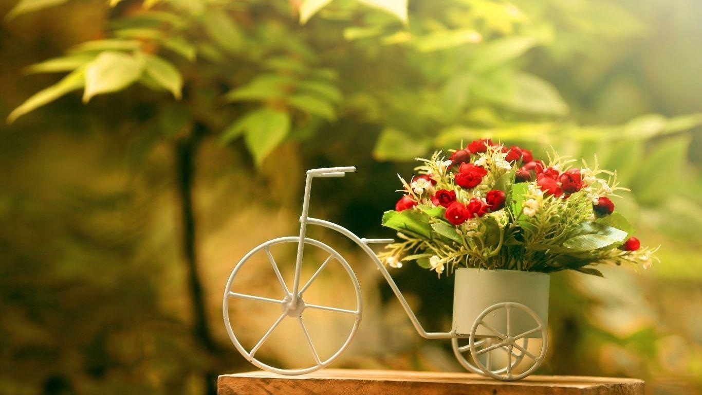 1370x770 Bike flowerpot Wallpaper, Desktop