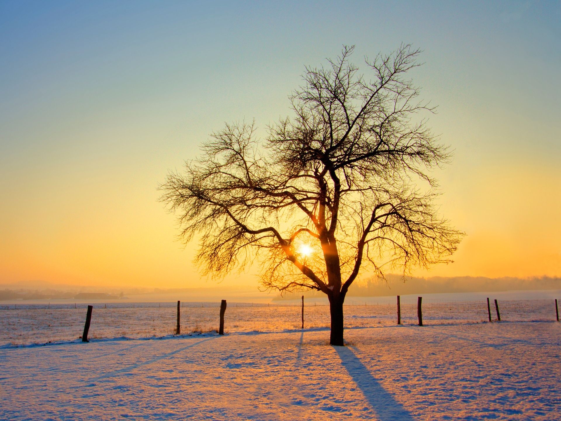 1920x1440 Cold Morning Wallpaper Winter Nature Wallpaper in jpg format for free download, Desktop