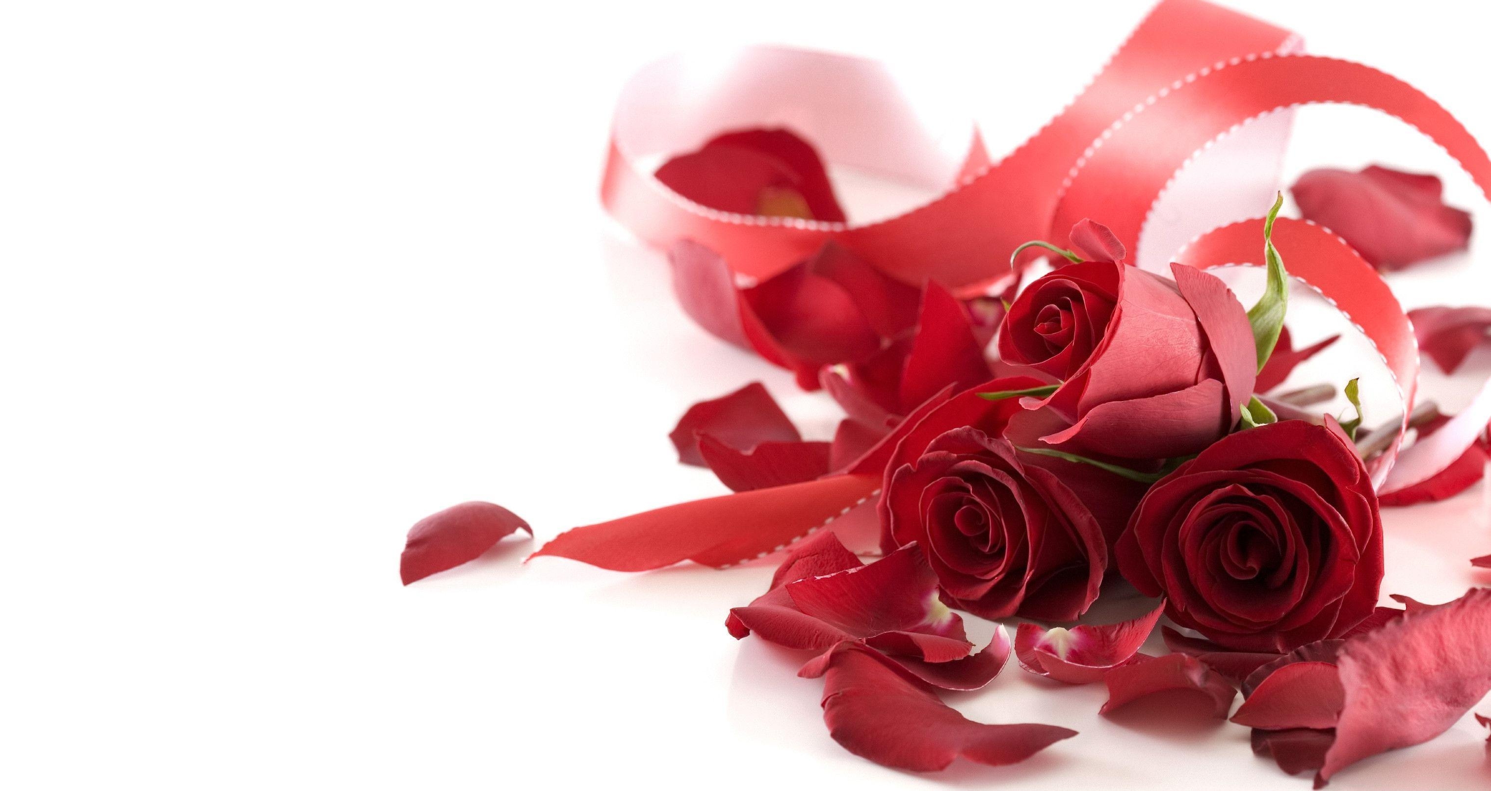 3040x1620 Red Roses Wedding Flower, Desktop