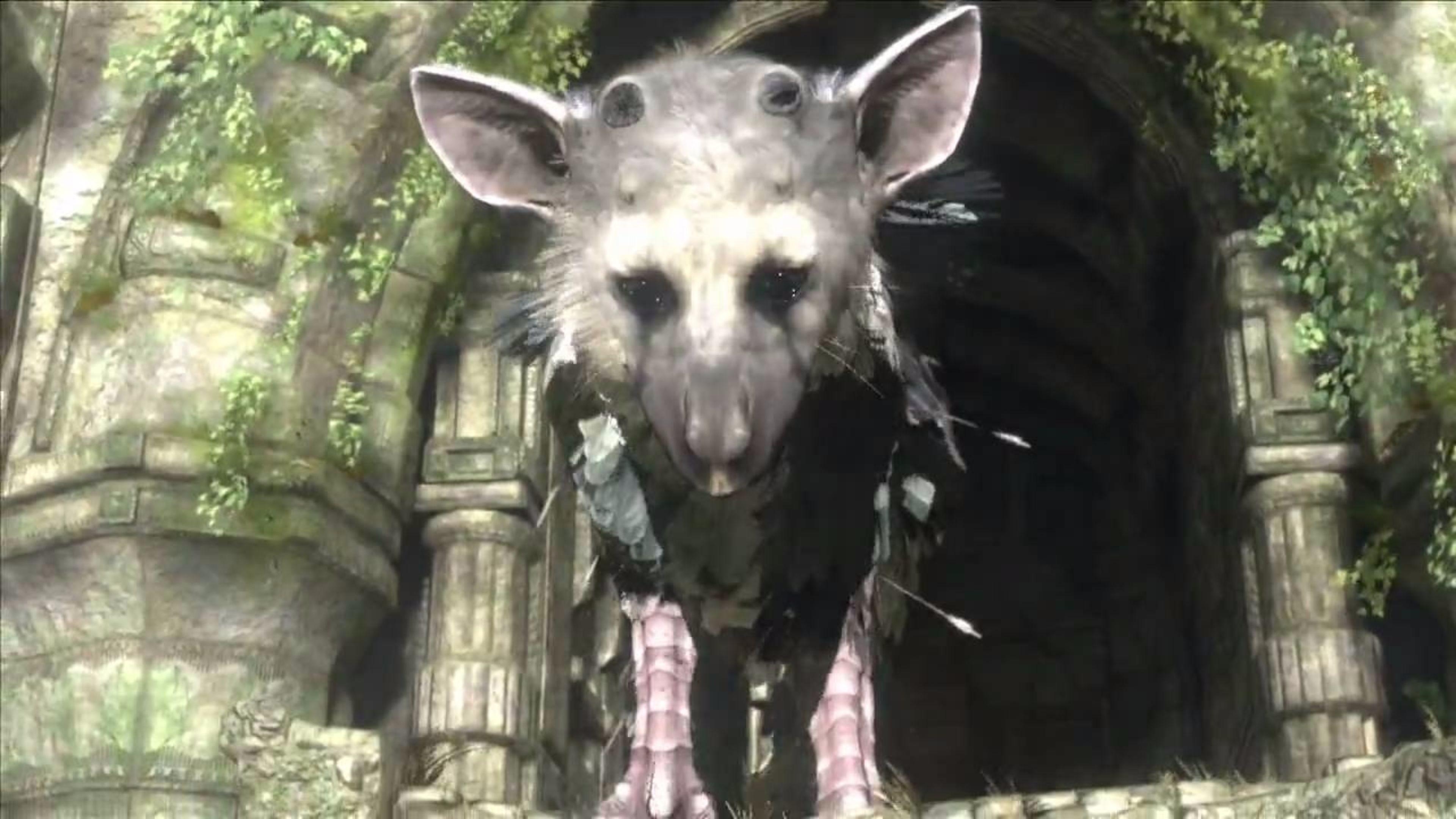 3840x2160 E3 Announcement The Last Guardian 4K Wallpaper. Free 4K Wallpaper, Desktop