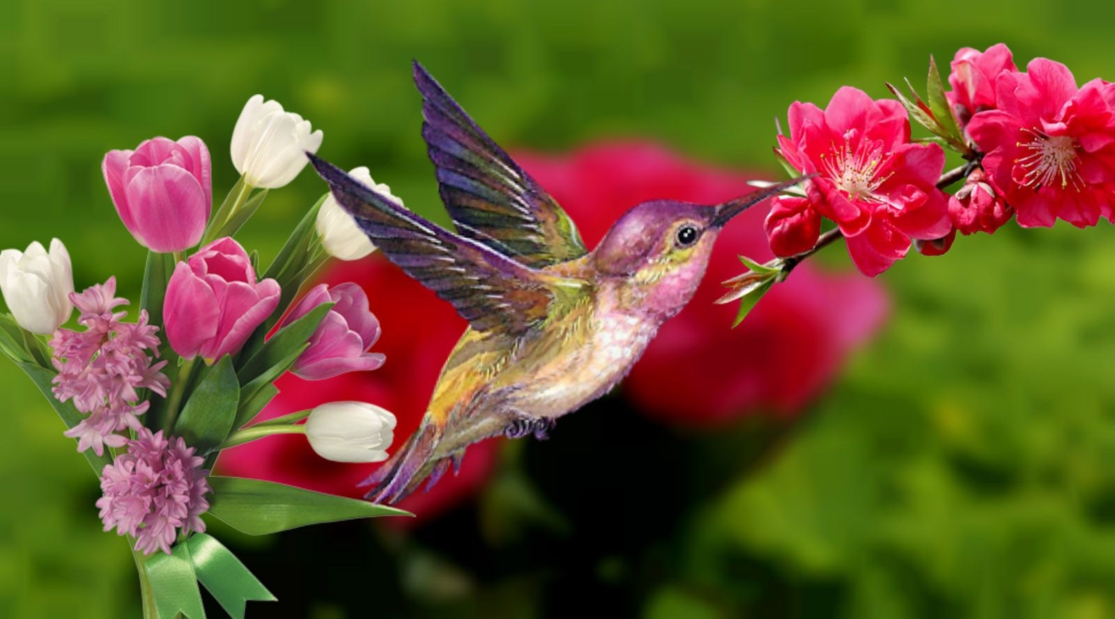 1600x890 Spring Birds Wallpaper, Desktop