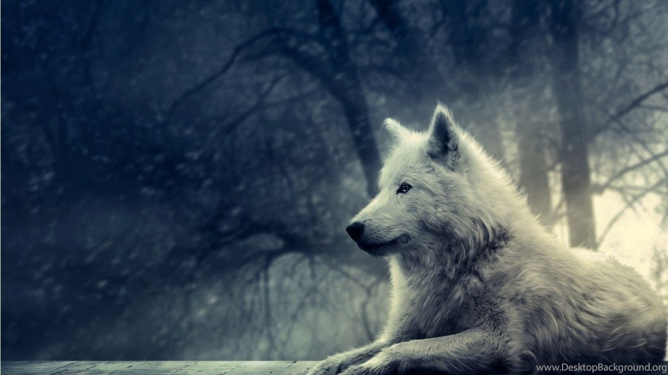 1370x770 Desktop animated wolf wallpaper Desktop Background, Desktop