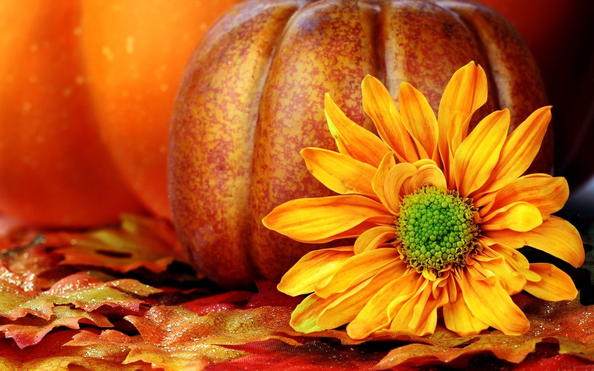 1920x1200 Fall Pumpkin Wallpaper, Desktop