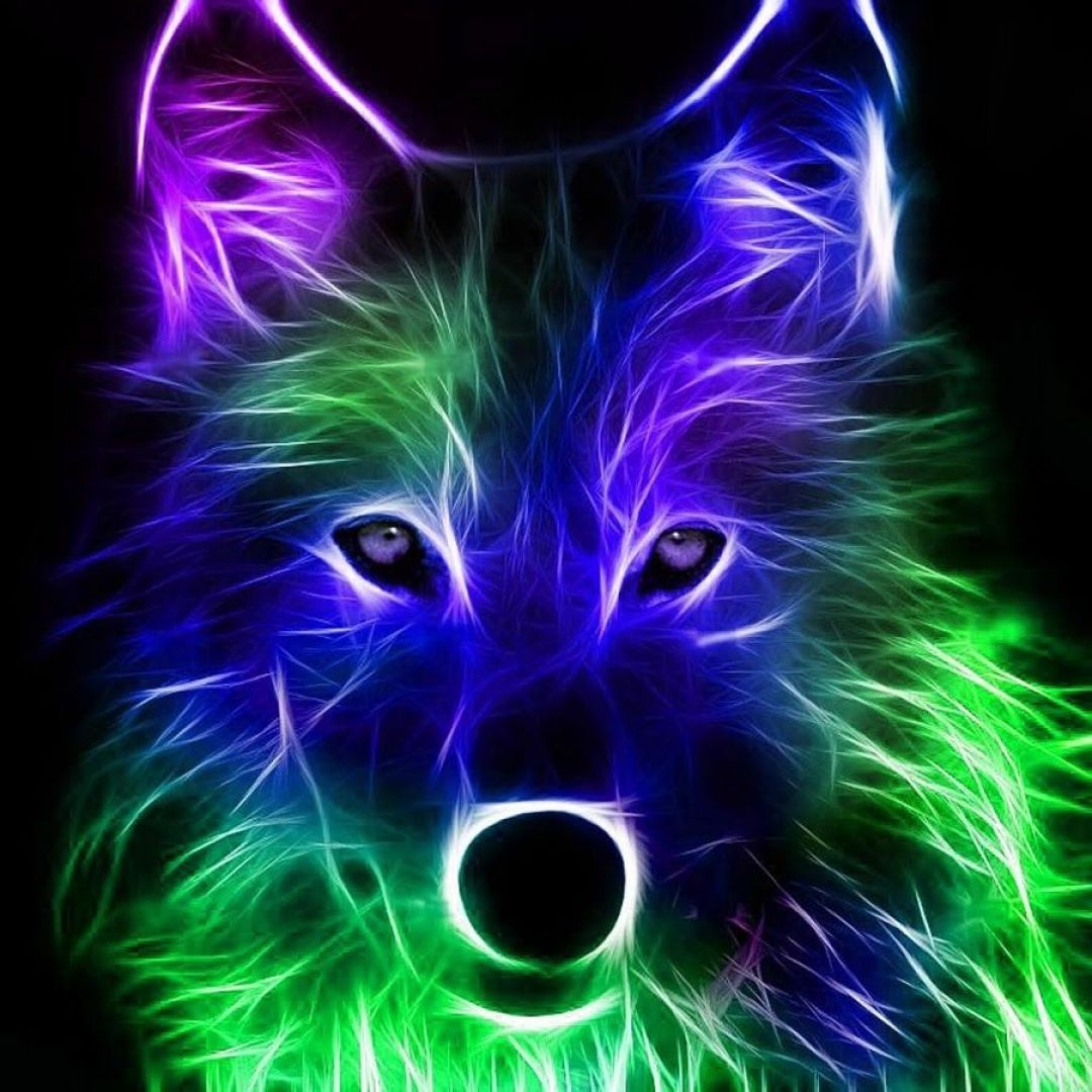 1080x1080 Neon Animals, iPhone, Desktop HD Background / Wallpaper (1080p, 4k) () (2020), Phone