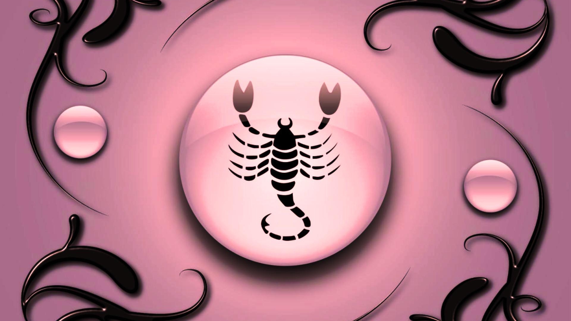 1920x1080 Scorpio on a pink background with black ornament Desktop wallpaper, Desktop