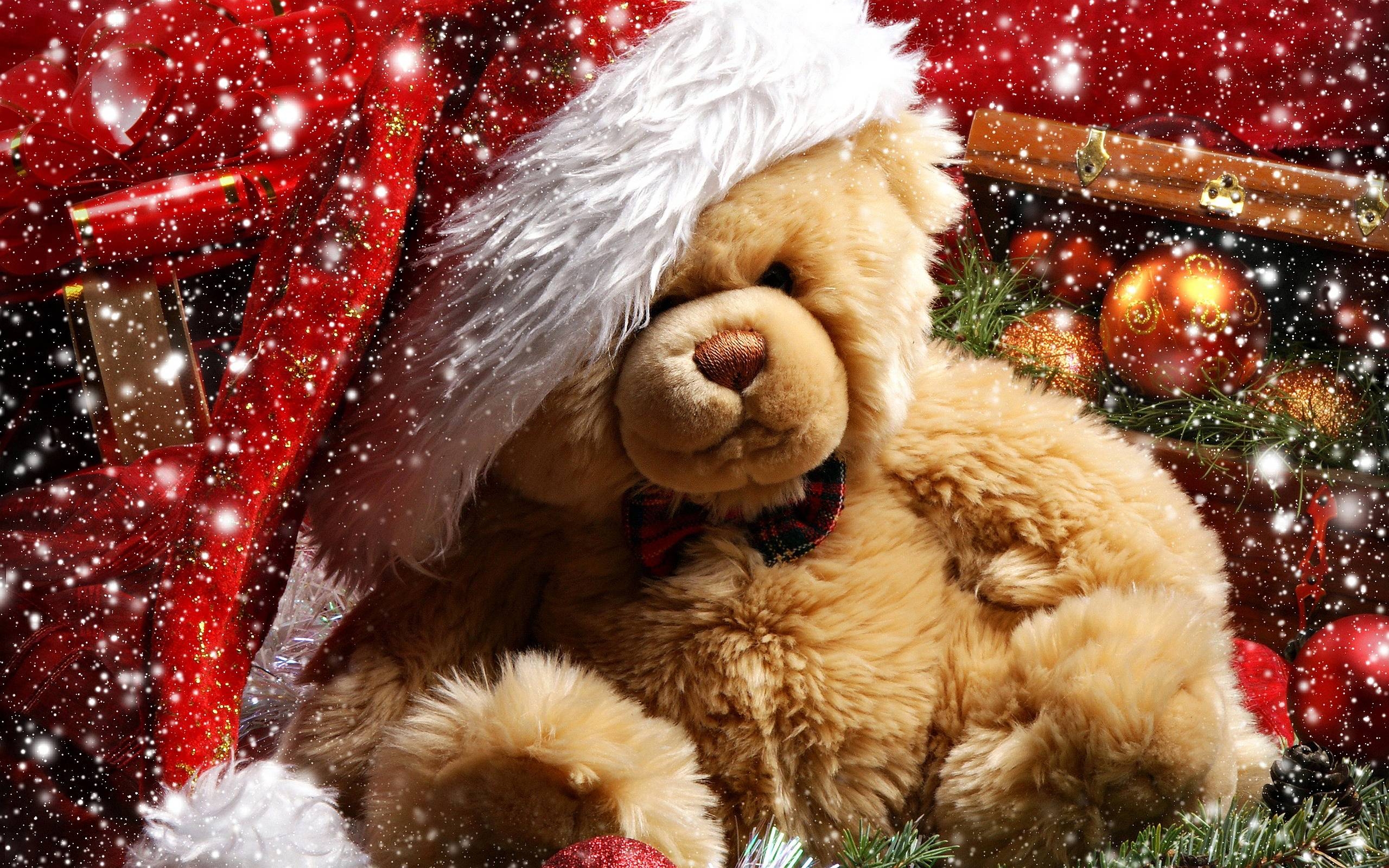 2560x1600 Cute Teddy Bear wallpaper(20 wallpaper). My Free Wallpaper Hub, Desktop